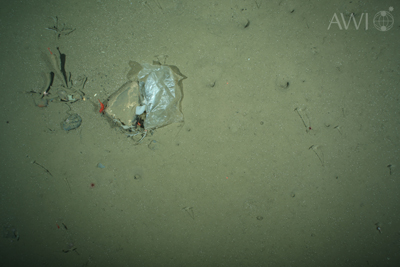 Cette photographie d'un débris en plastique a&nbsp;été prise en juillet 2012 par 2.500 m de fond dans un des endroits les plus reculés de la planète. Une fois dégradés, les microplastiques formés pourront être ingérés par les organismes vivant.&nbsp;© AWI