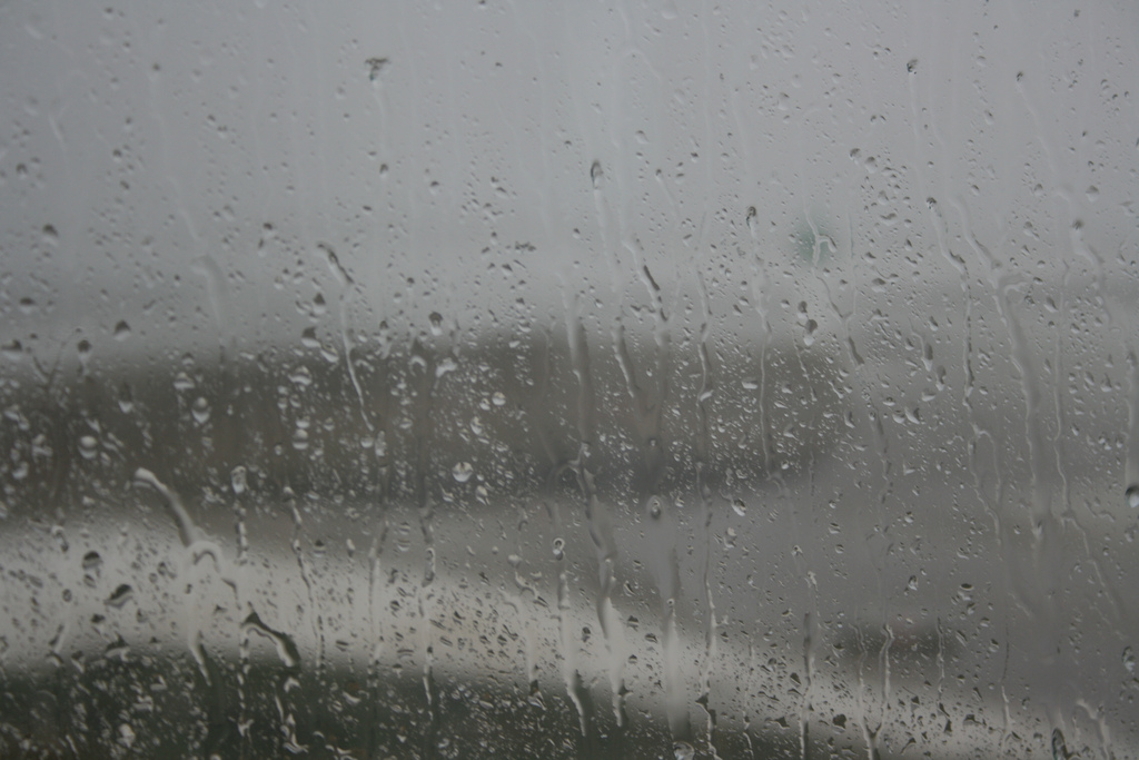 Entre le 1er juin et le 11 juillet 2012, il a plu 25 jours dans les Côtes-d'Armor et le Finistère, soit un peu plus d'un jour sur deux. © JD Fahey, Flickr, CC by 2.0