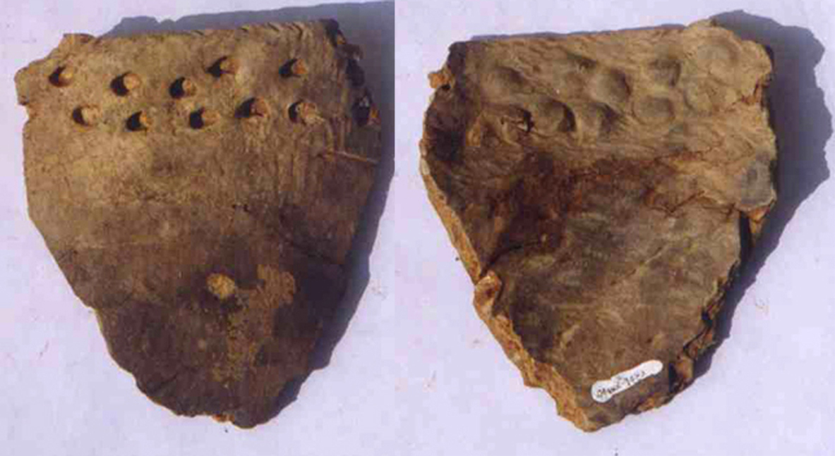 Ce fragment de terre cuite, vieux d'environ 12.500 ans, provient également de la grotte de Xianrendong en Chine, site de la découverte de la plus ancienne poterie au monde. © AAAS