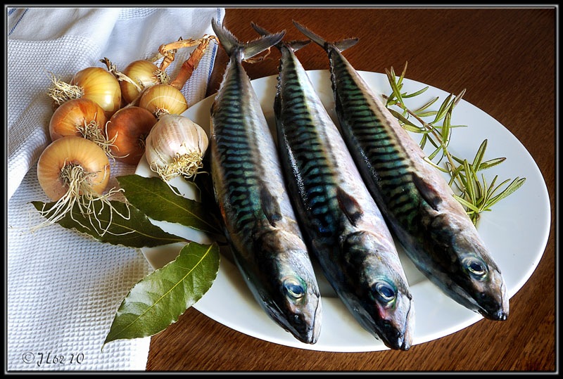 Manger du poisson riche en oméga-3 permettrait de limiter les risques de développer la maladie d'Alzheimer chez les personnes portant le gène APOE4. © JL62, Flickr