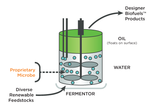 Une fois synthétisé, le biodiesel produit par les bactéries est libéré dans l'environnement aqueux et remonte vers la surface. Il ne reste plus qu'à l'aspirer. © LS9