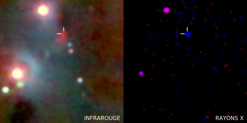 À gauche : image infrarouge Spitzer (rouge : 4.5 microns) et SOAR (vert : hydrogène moléculaire choqué à 2.12 microns ; bleu : bande K à 2.15 microns). À Droite : détection de HOPS 383 en rayons X avec Chandra (rouge : 0.5-2 keV ; bleu : 2-7 keV). © Nasa, CXC, NOAO, Grosso N. et al
