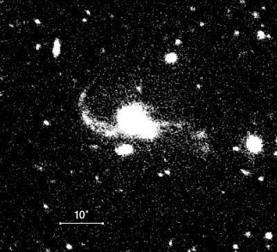 Cette image optique du SDSS J1254 0846 obtenue en 2009 grâce au télescope Baade-Magellan de l'Observatoire de Las Campanas au Chili montre les deux noyaux des quasars ainsi que les trainées de marée accompagnant la fusion des galaxies hôtes. La barre représente 10 secondes d'arc. Crédit : Carnegie Institution
