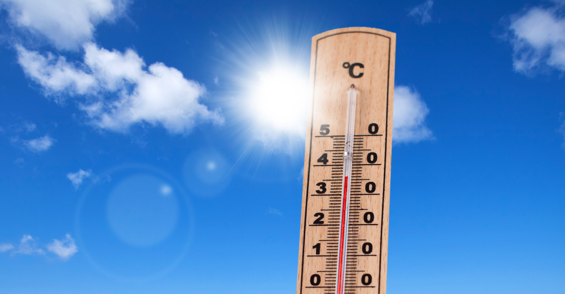 Au niveau des températures, les records tombent les uns après les autres. © Jenny Sturm, Adobe Stock