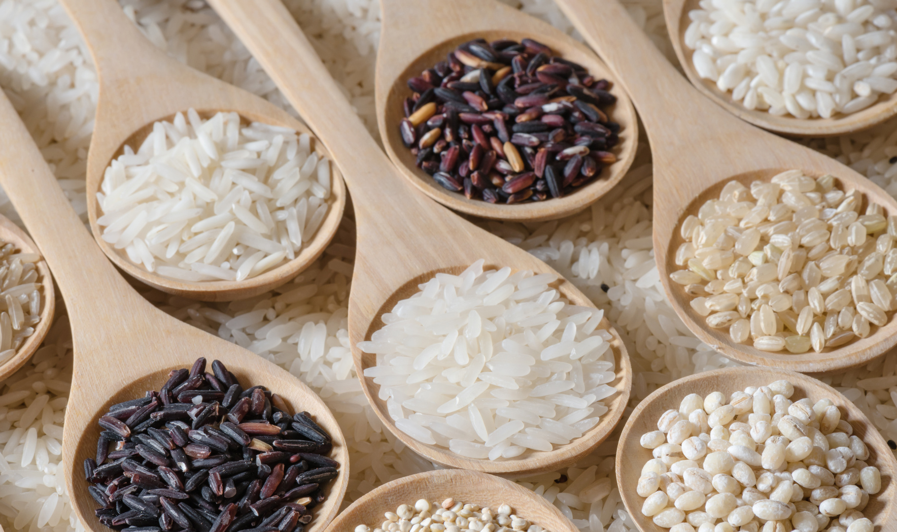 Espèces et variétés de riz : riz basmati, cargo (aussi dit brun ou complet), gluant, rouge…