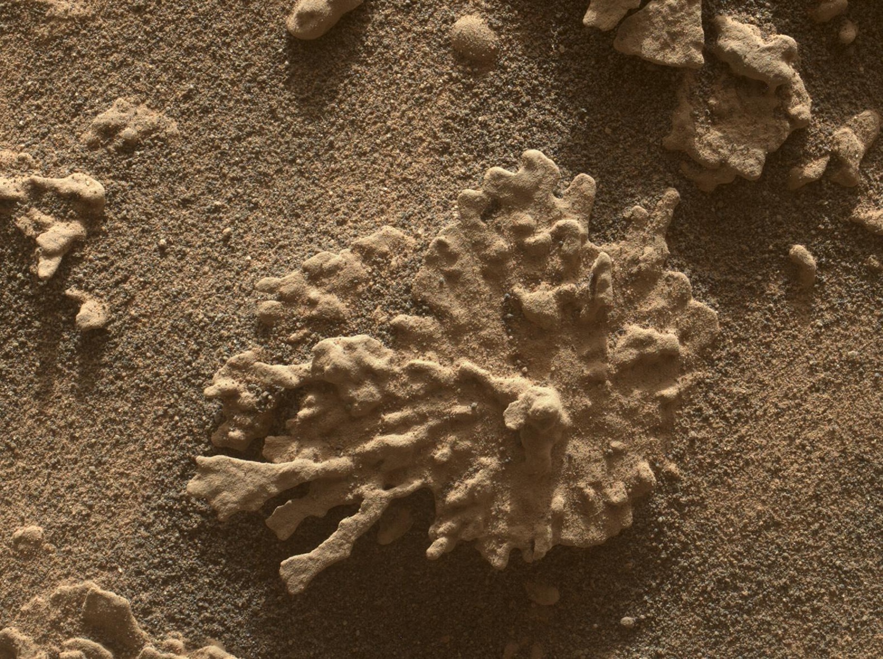 Image du site Futura Sciences