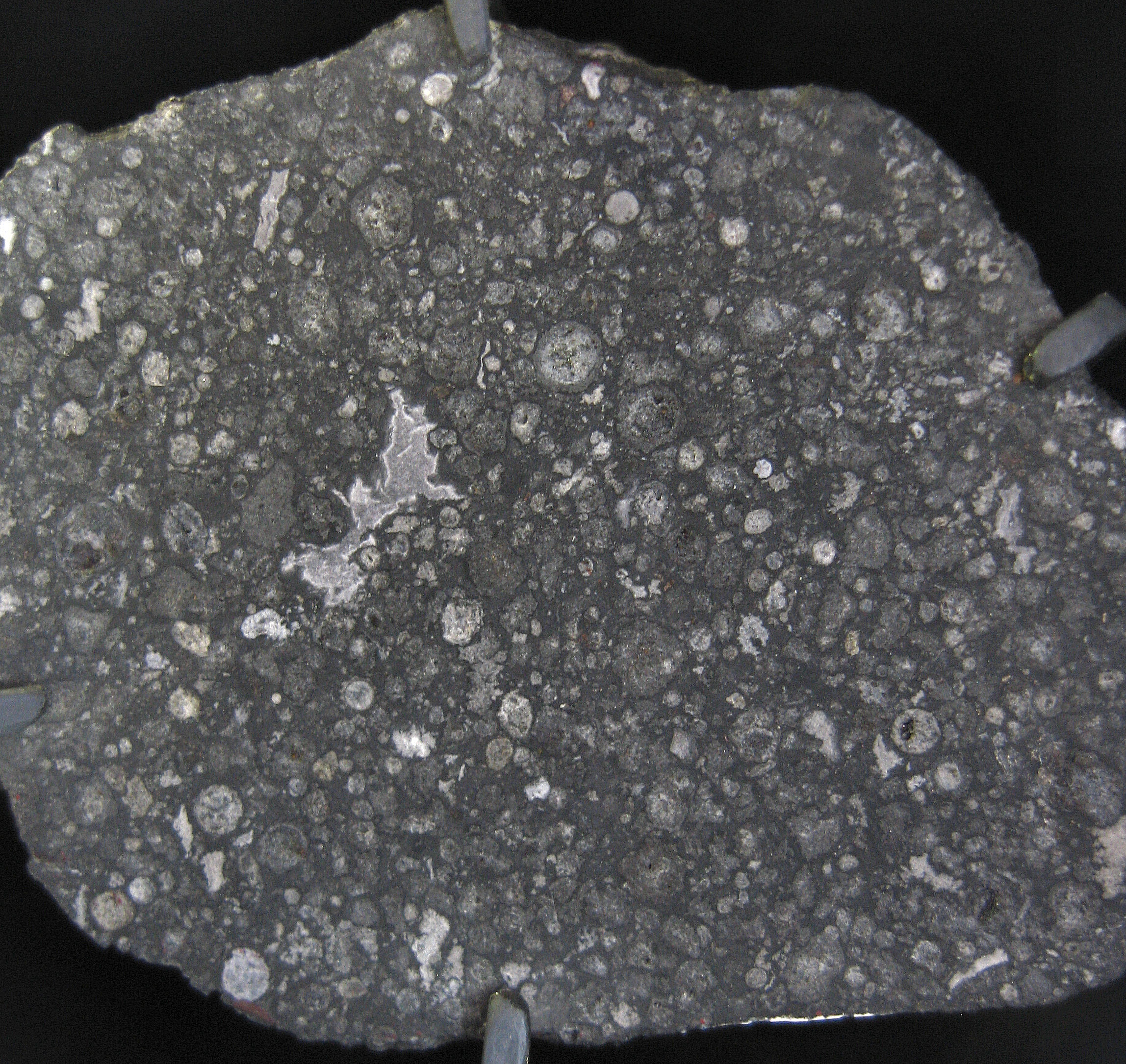 Une coupe de la météorite d'Allende. Chaque cercle blanc, gris ou beige représente la section d'un chondre. Ces chondres sont inclus dans une matrice (mélange de silicates et de fer), ici de couleur gris foncé. © Wikipedia-Shiny Things, Pierre Thomas