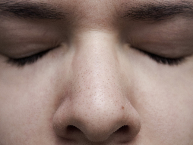 Le nez permet l’entrée de l’air, inspiré dans le système respiratoire. © Alessandra Celauro, Flickr, CC by-nc 2.0