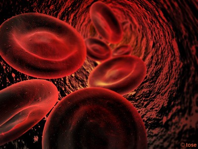Le principal risque d'une transfusion est un problème de compatibilité entre le sang du donneur et le receveur. En fonction du groupe sanguin, on possède une immunité contre les globules rouges qui ne présentent pas les bons antigènes. © DR