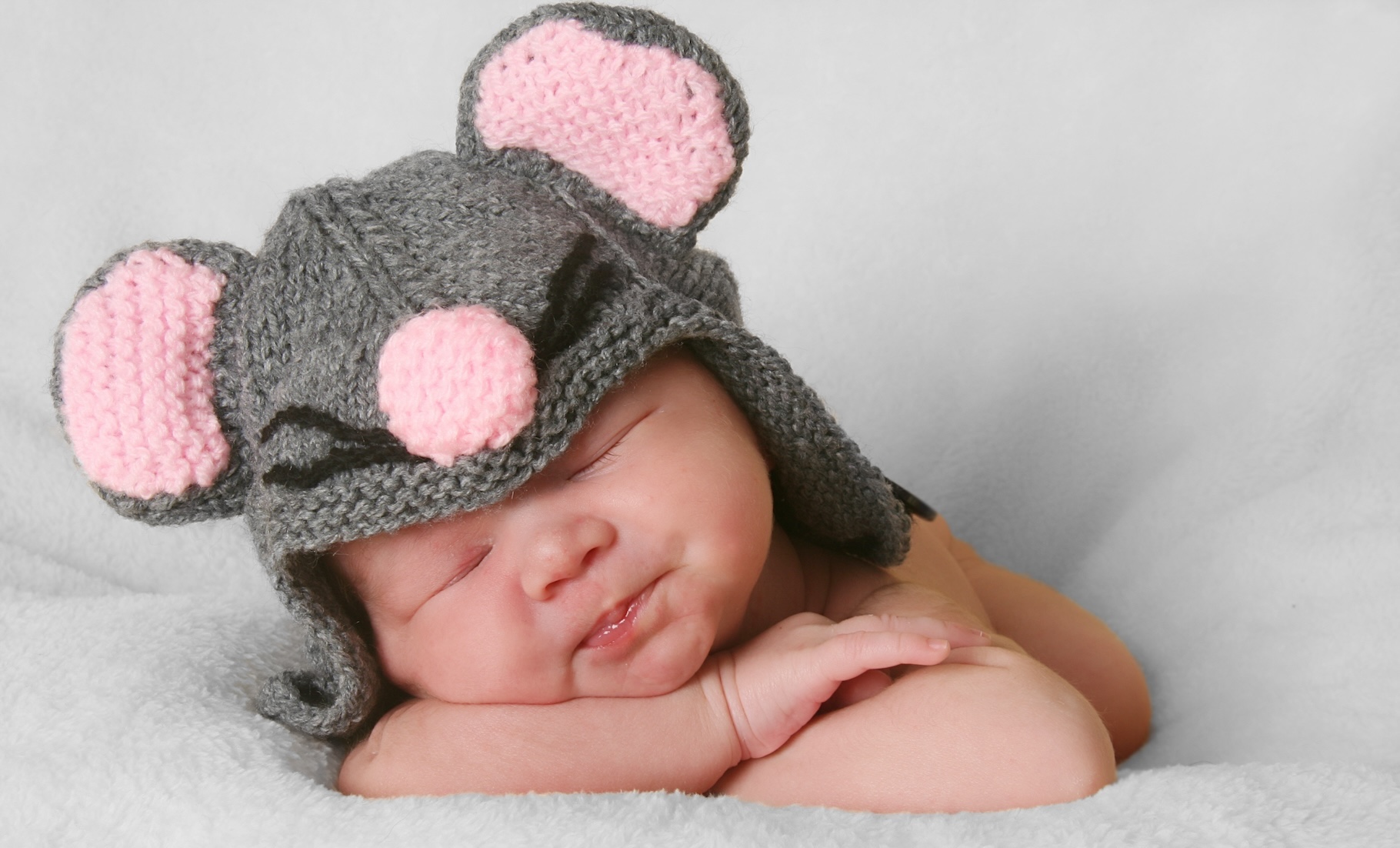 Des chercheurs de l’université Johns Hopkins (États-Unis) avancent que les souris font preuve d’une intelligence d’apprentissage semblable à celle de nos bébés. © Barbara Helgason, Adobe Stock