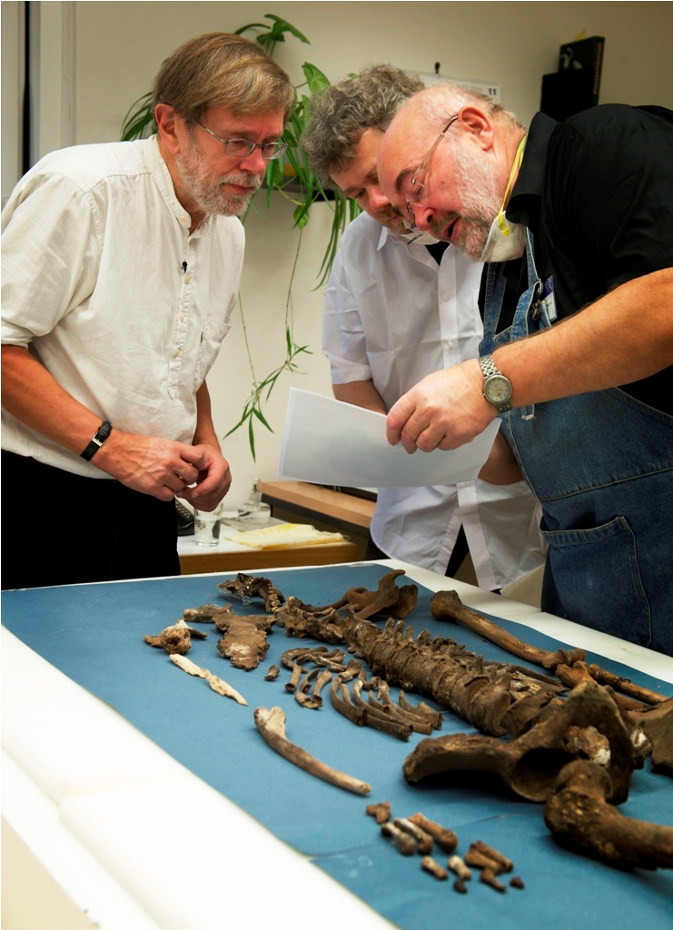 Le squelette de Tycho Brahe, examiné le 18 novembre 2010. © Jacob C. Ravn, Aarhus University