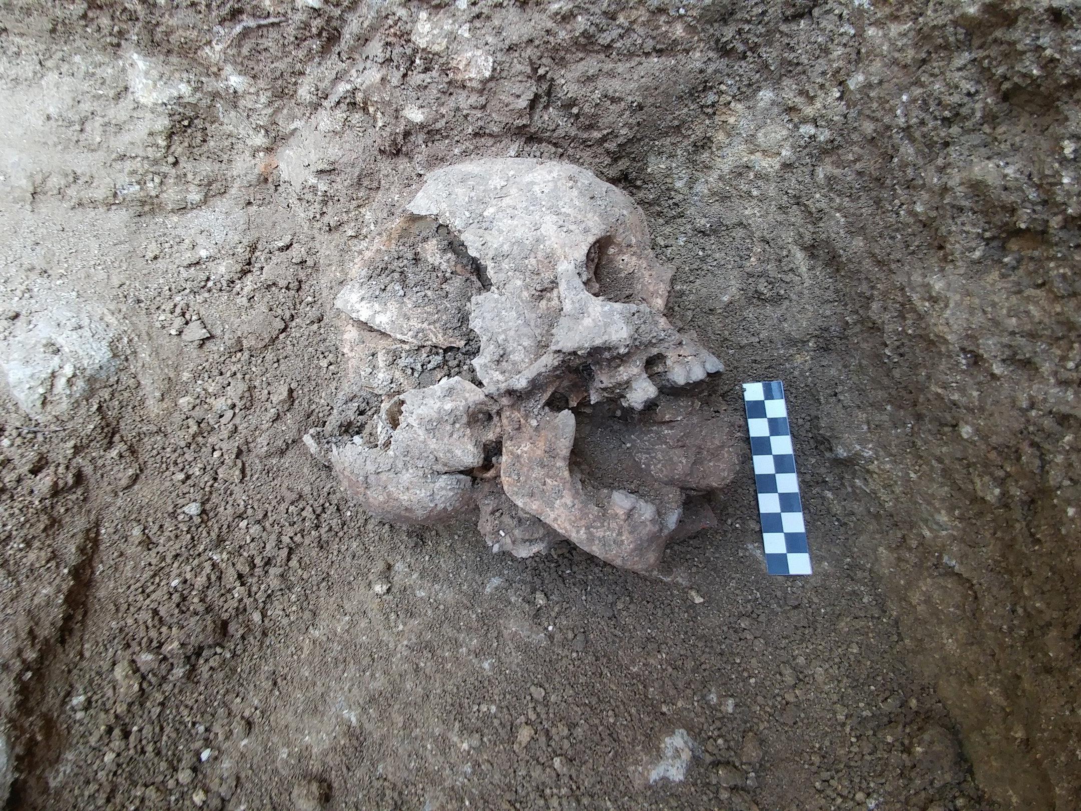 Des archéologues ont déterré le squelette d’un enfant de 10 ans, enterré comme un vampire. © David Pickel, Stanford University