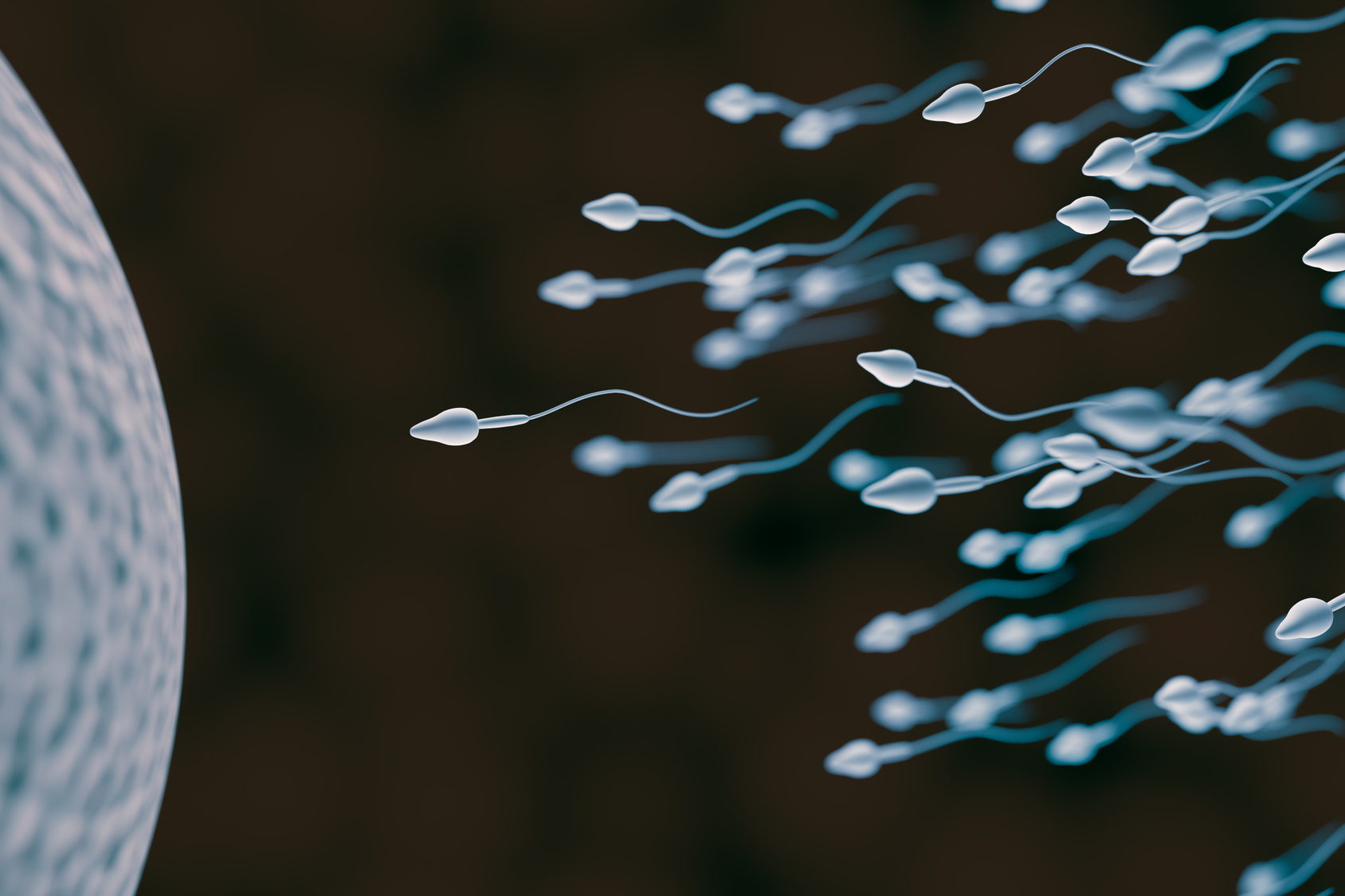 Étudié par une fondation américaine, Vasalgel, alternative au préservatif, serait un contraceptif masculin efficace à long terme et réversible. © vchalup, Fotolia