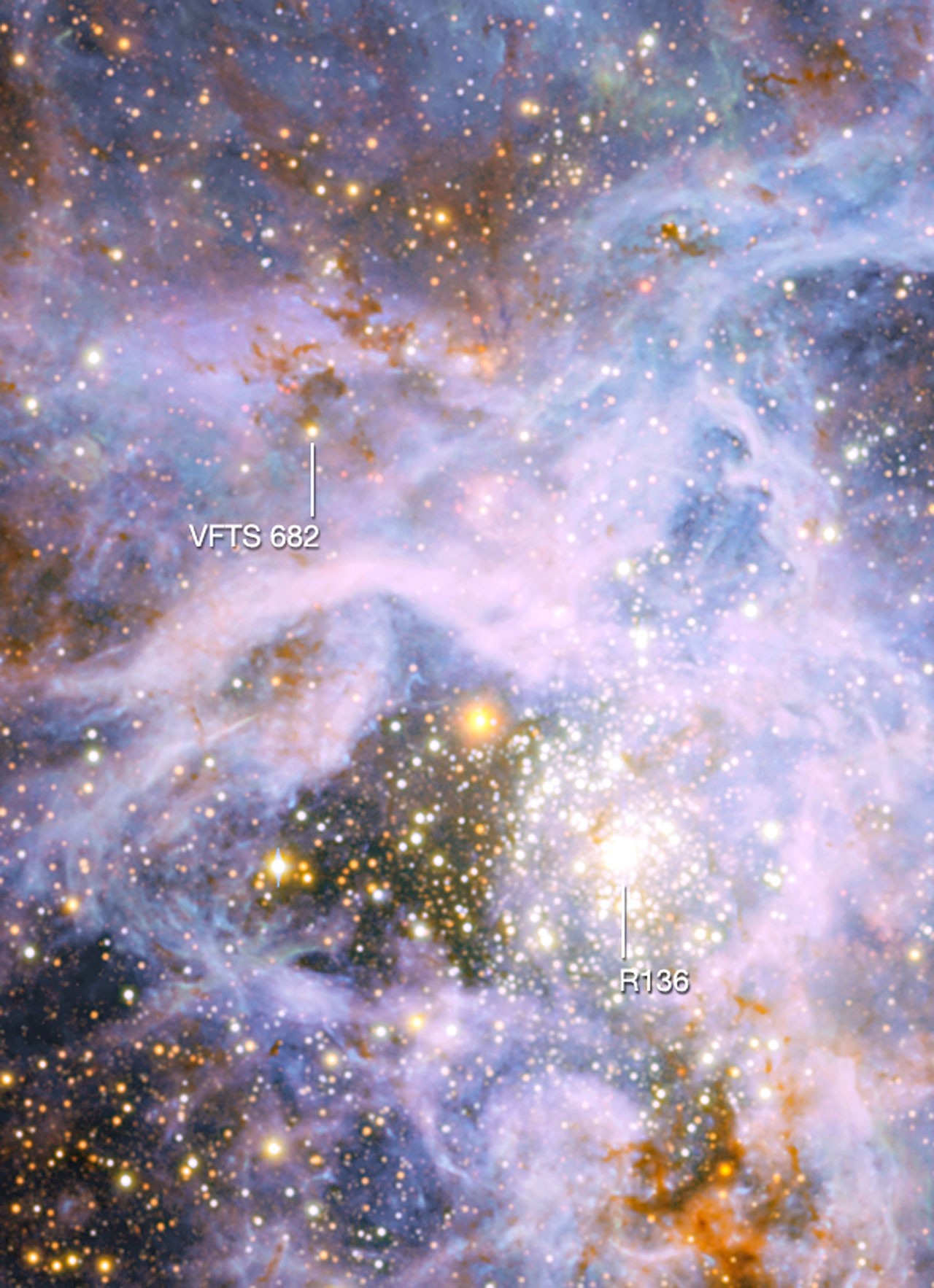 Bien qu'isolée aujourd'hui, l'étoile massive VFTS 682 a peut-être été éjectée de l'amas R 136 dans le passé. © ESO/M.-R. Cioni/Vista Magellanic Cloud survey/Cambridge Astronomical Survey Unit