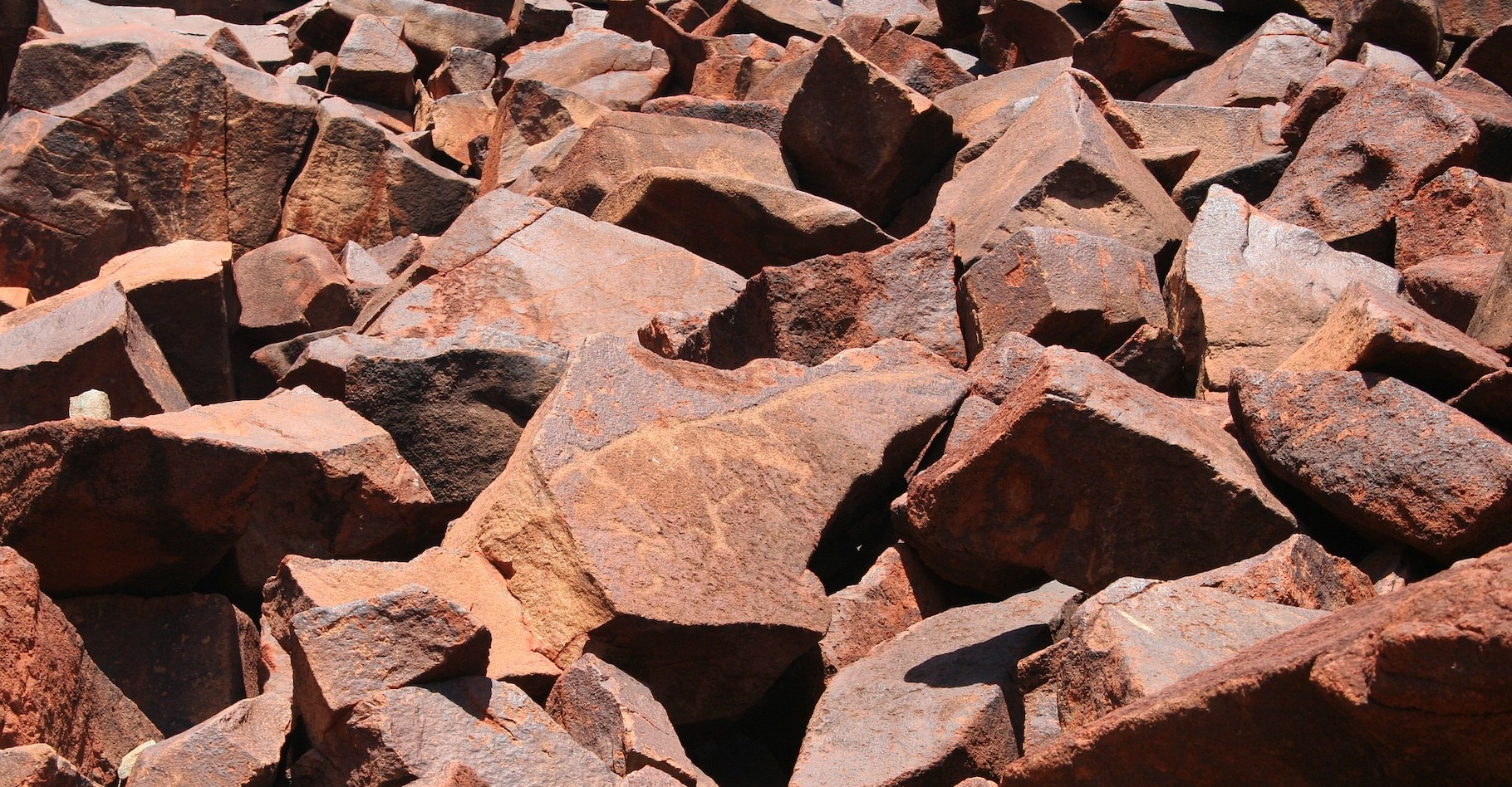 À l’ouest de l’Australie, des chercheurs ont découvert des stromatolites vieux de 3,5 milliards d’années dans les années 1980. Aujourd’hui, ils confirment enfin qu’ils contiennent des restes microbiens, parmi les plus anciennes traces de vie sur Terre. © MrBlack, Pixabay License