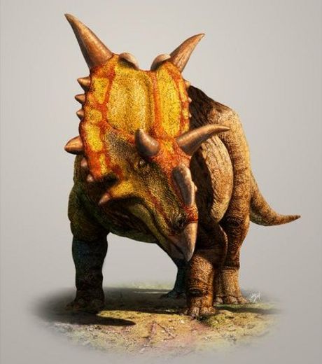 L'artiste Julius Csotonyi nous livre sa vision du Xenoceratops foremostensis. Ce dinosaure herbivore découvert au Canada ressemble fortement à son cousin le tricératops. © Julius T. Csotonyi 2012
