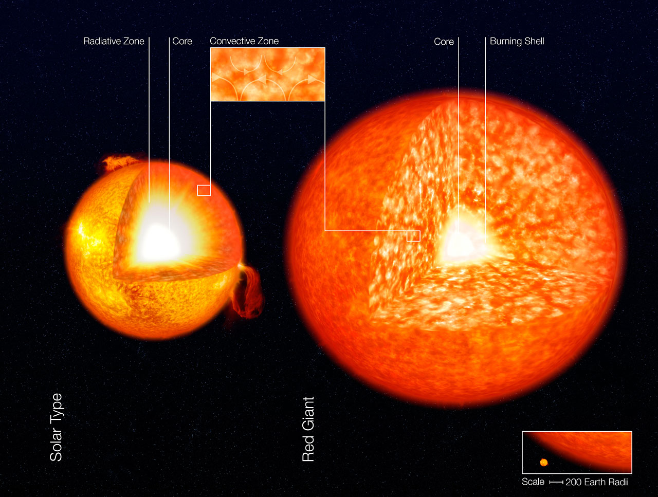 Sur la gauche, on voit la structure interne du Soleil avec son cœur (core en anglais) où l'hydrogène brûle pour donner de l'hélium. L'essentiel du Soleil est dominé par la zone radiative (jaune), celle où le transfert de chaleur se fait par rayonnement. En surface, on voit la zone convective, où c'est la convection dans un fluide (comme dans l'eau d'une casserole qui bout) qui assure ce transfert. Sur la partie droite de ce schéma, on voit une géante rouge beaucoup plus grande que le Soleil (échelle en bas à droite), dominée par la convection. Elle brûle son hydrogène autour de son cœur en hélium. © ESO