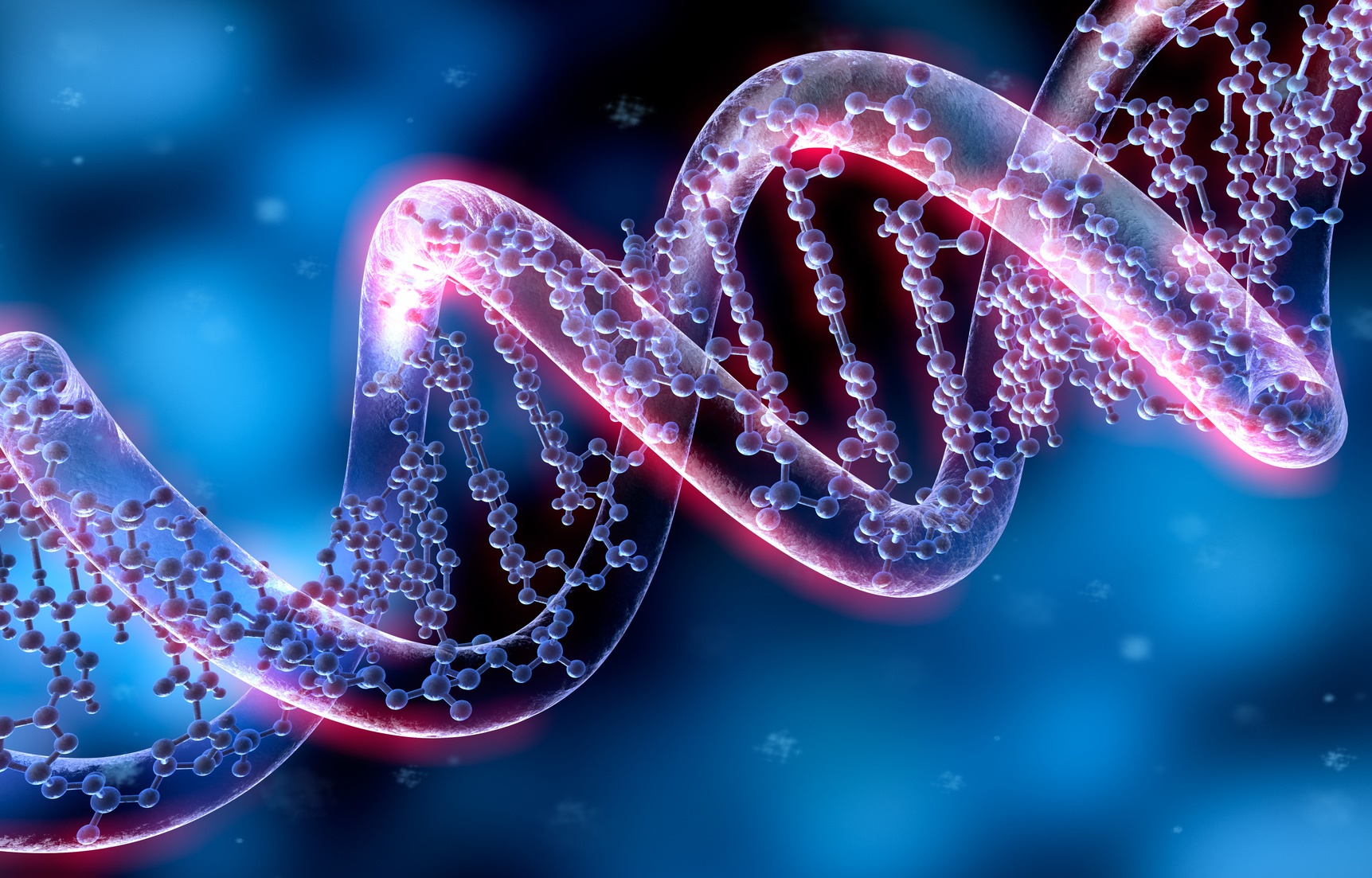 La dérive génétique est un processus génétique lié&nbsp;au hasard. © psdesign1, Fotolia
