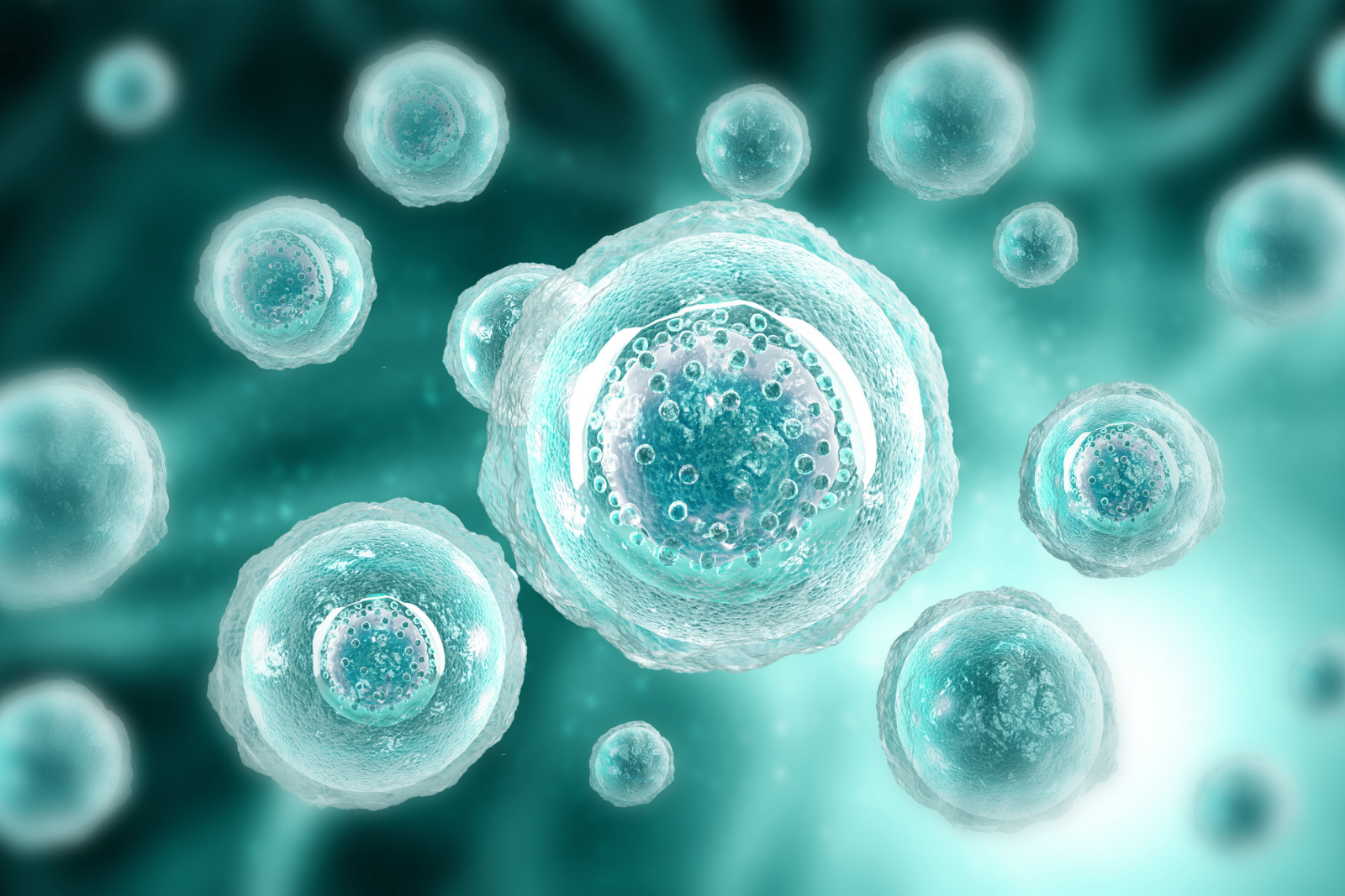 Comment la science évalue-t-elle votre âge cellulaire réel ? © Rasi Bhadramani, iStock