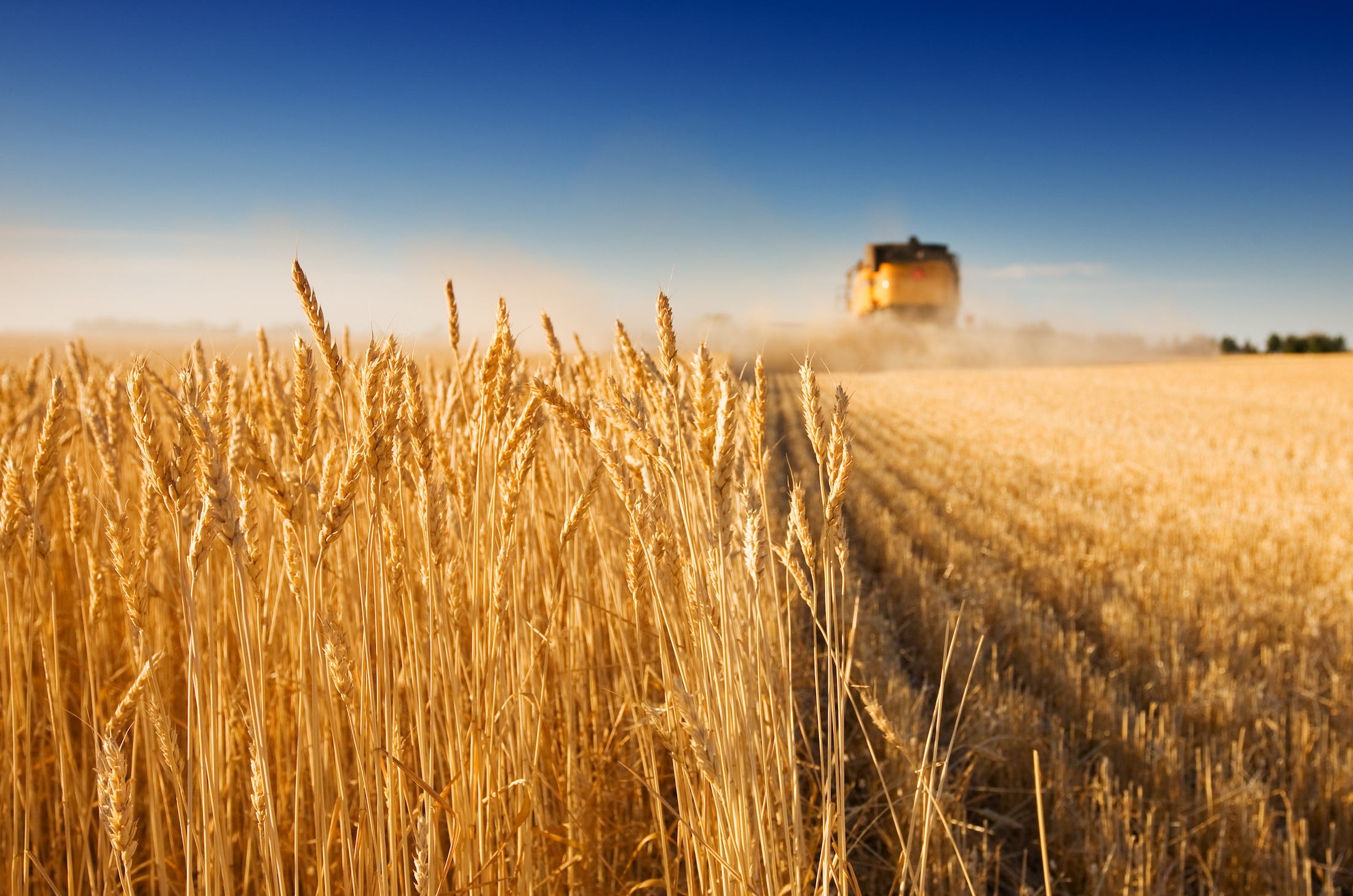 Les pratiques agricoles seraient une source tout aussi importante de particules fines que le transport et l'industrie. © Sly, Adobe Stock