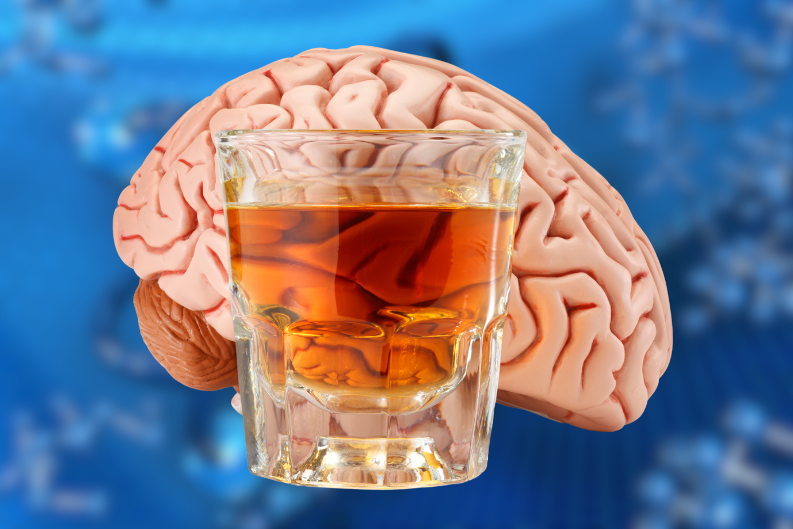 Ce que vous ignorez sur l’impact de l’alcool sur votre cerveau pourrait vous surprendre. © DNY59, iStock