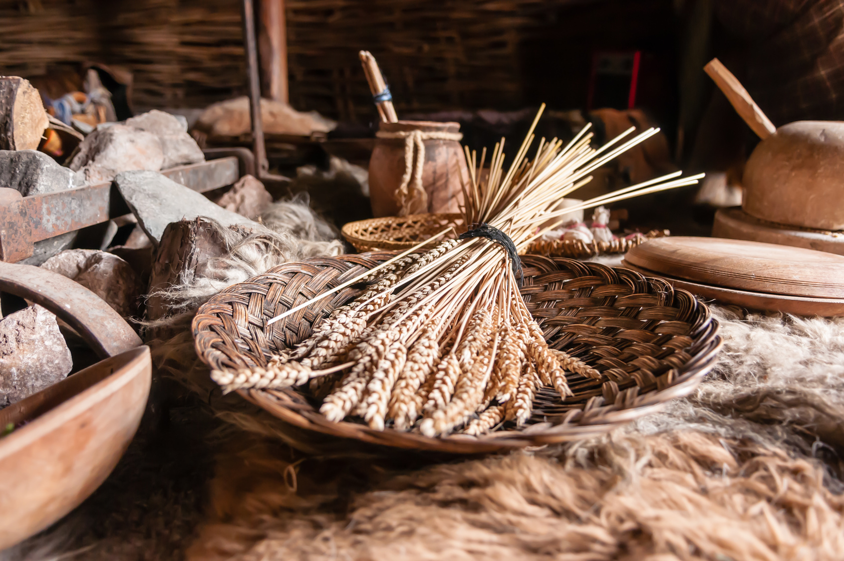 Au Néolithique, les humains ont appris des techniques pour transformer la nourriture, par exemple en la broyant, en la cuisant… © Stephen, fotolia