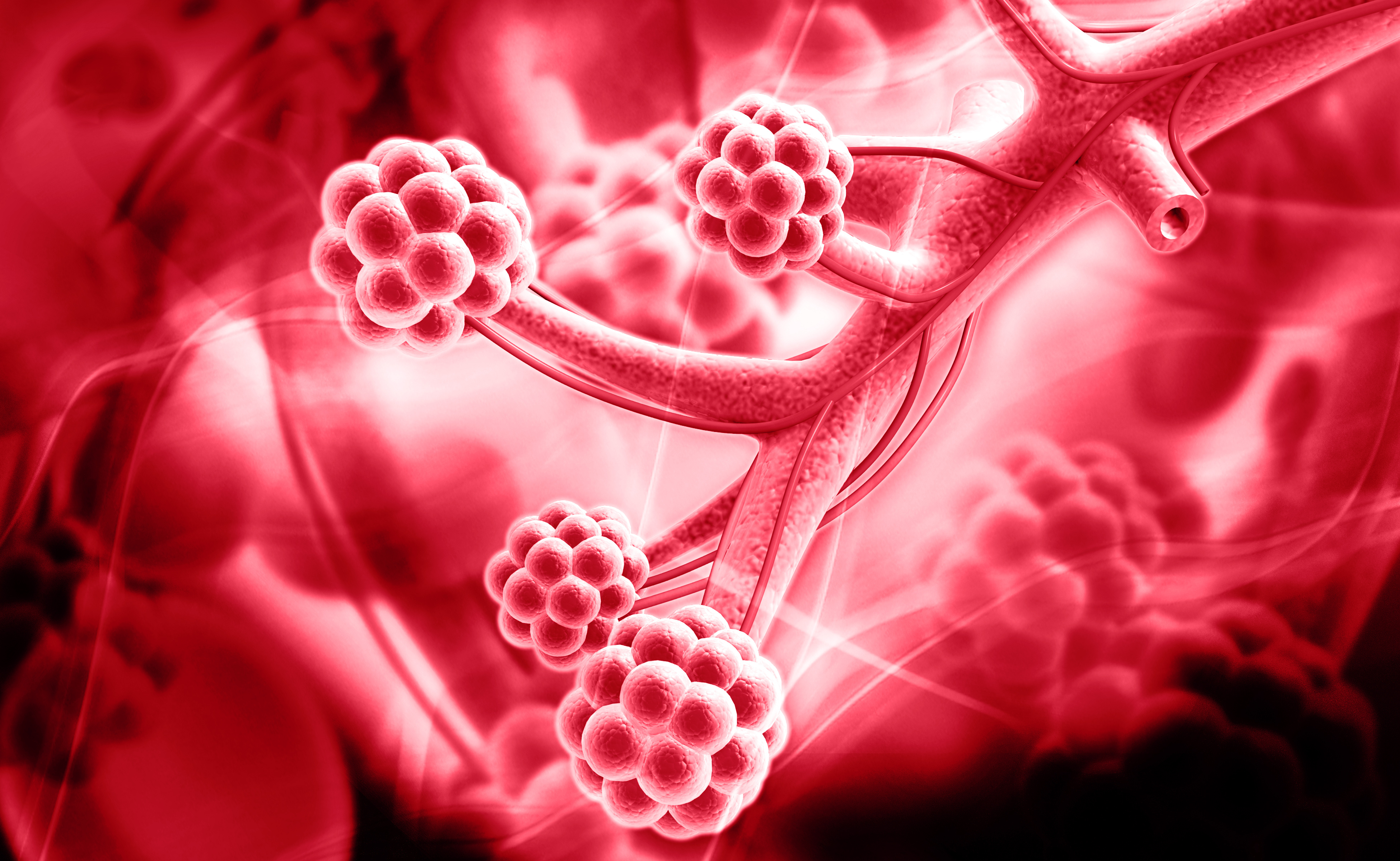 Une alvéole pulmonaire, lieu des échanges gazeux dans les poumons. © abhijith3747, Adobe Stock