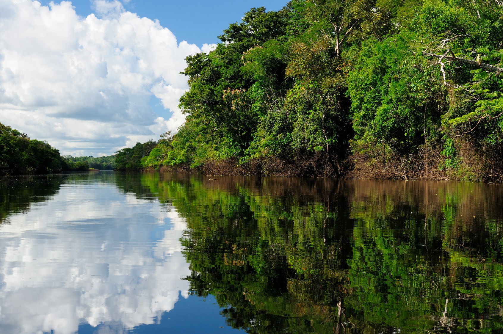 L’Amazone serait le plus long fleuve au monde. © Rafal Cichawa, Fotolia