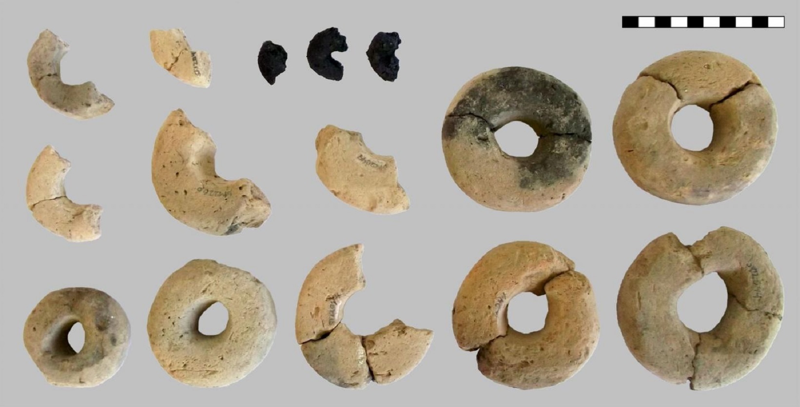 Les anneaux trouvés sur le site archéologique. © Heiss et al, 2019, Plos One