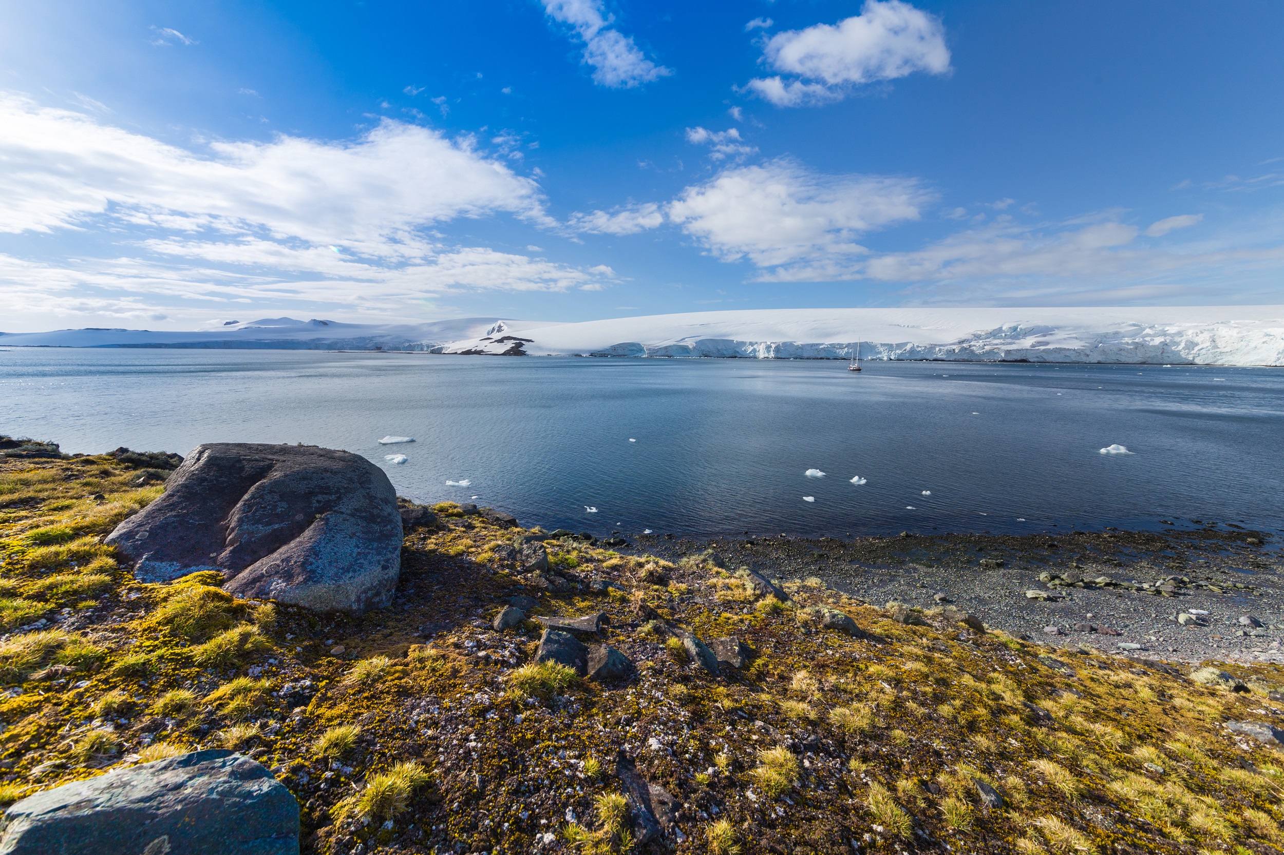La hausse des températures permet à la végétation de se propager en Antarctique. © Viktoria, Adobe Stock