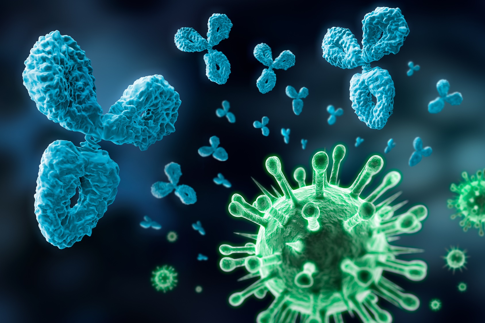 Si un anticorps reconnaît plusieurs antigènes qui se ressemblent, il peut y avoir immunité croisée. © psdesign1, Fotolia
