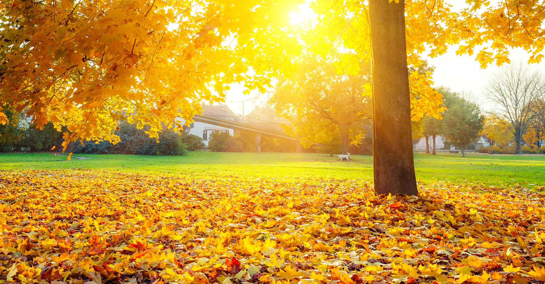 L'automne débute à l'équinoxe du même nom, le 21, le 22 ou le 23 septembre, selon les années. © Hagens_World flickr 2.0