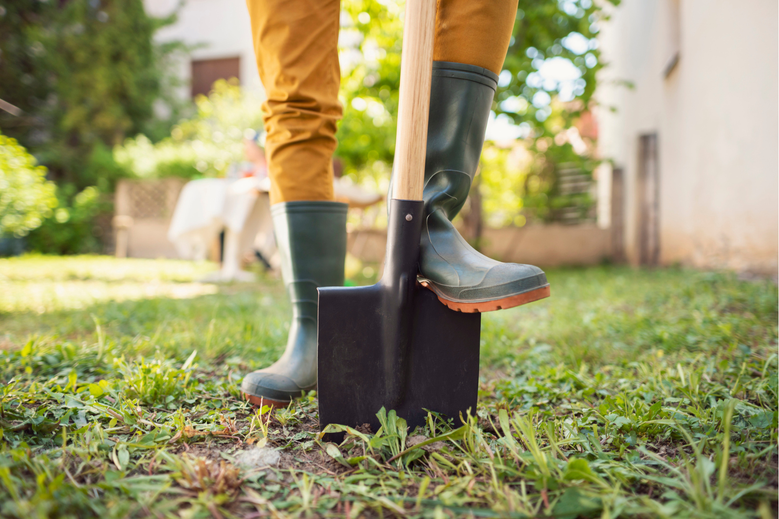 L'automne est le bon moment pour préparer un printemps éclatant dans son jardin. © Freemixer, iStock