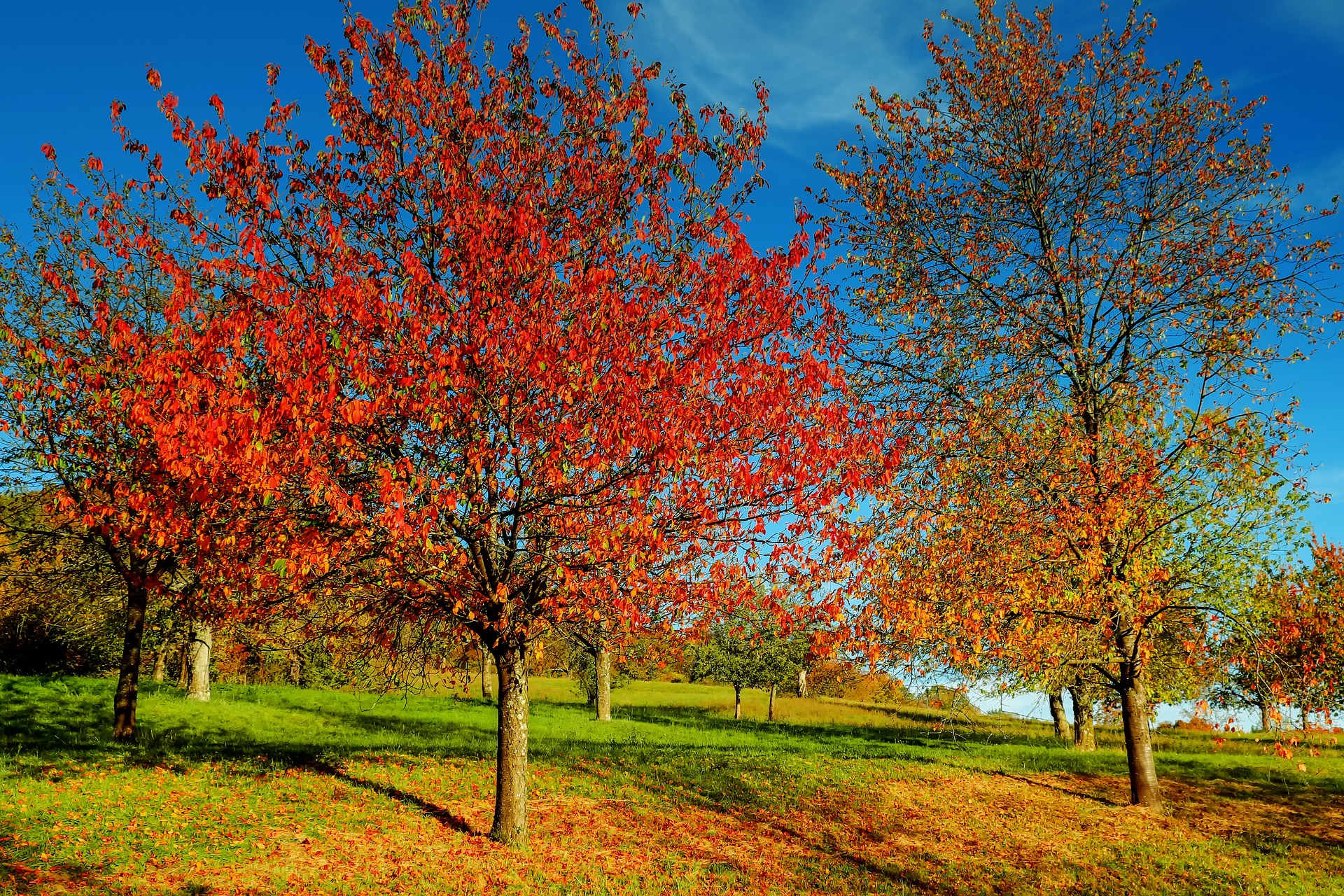 Le début de l'automne s'annonce encore plutôt doux, mais humide dans le sud de la France. © 1195798, Pixabay