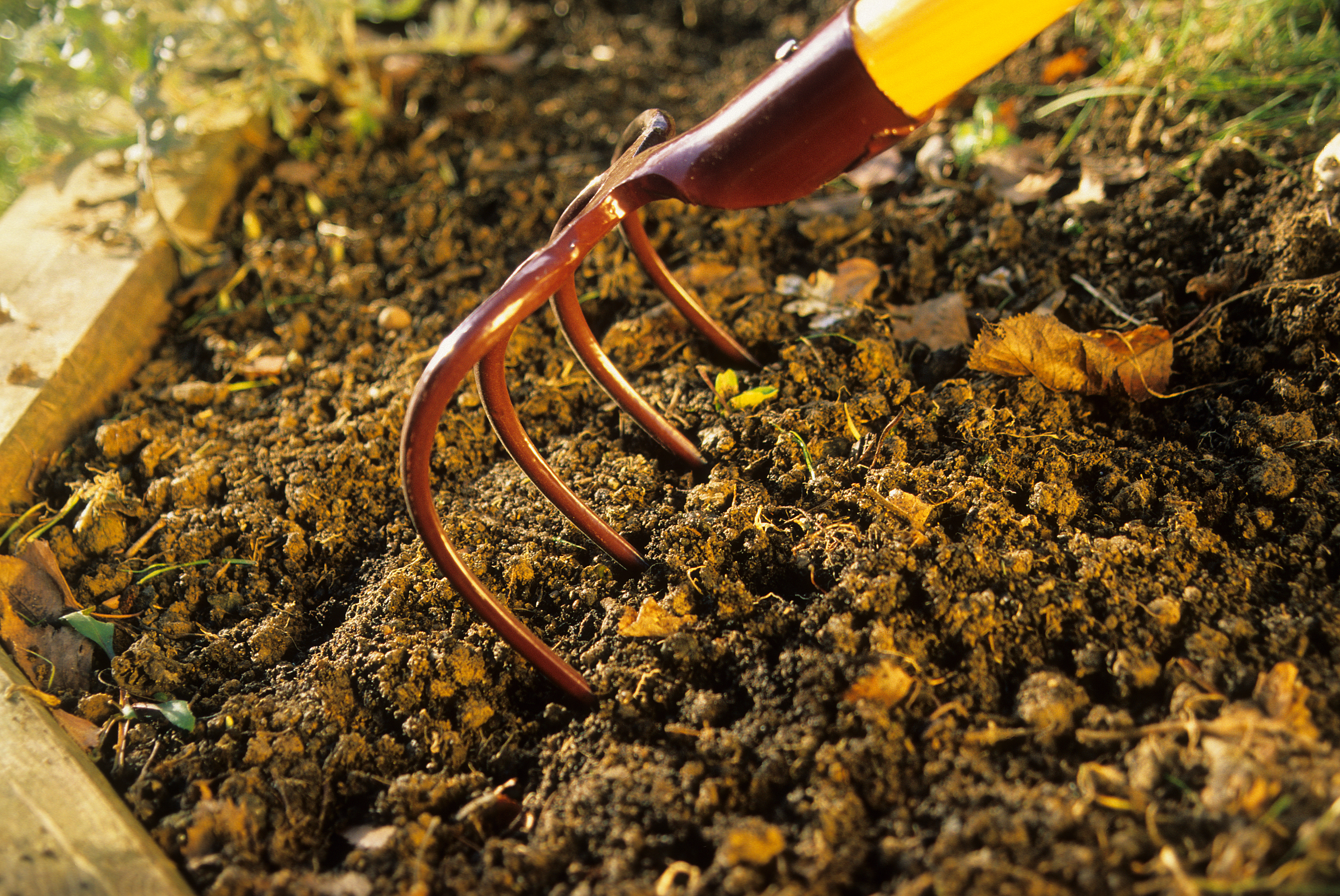 Le bêchage, une étape essentielle pour aérer et enrichir le sol avant les plantations. © PIXATERRA, Adobe Stock