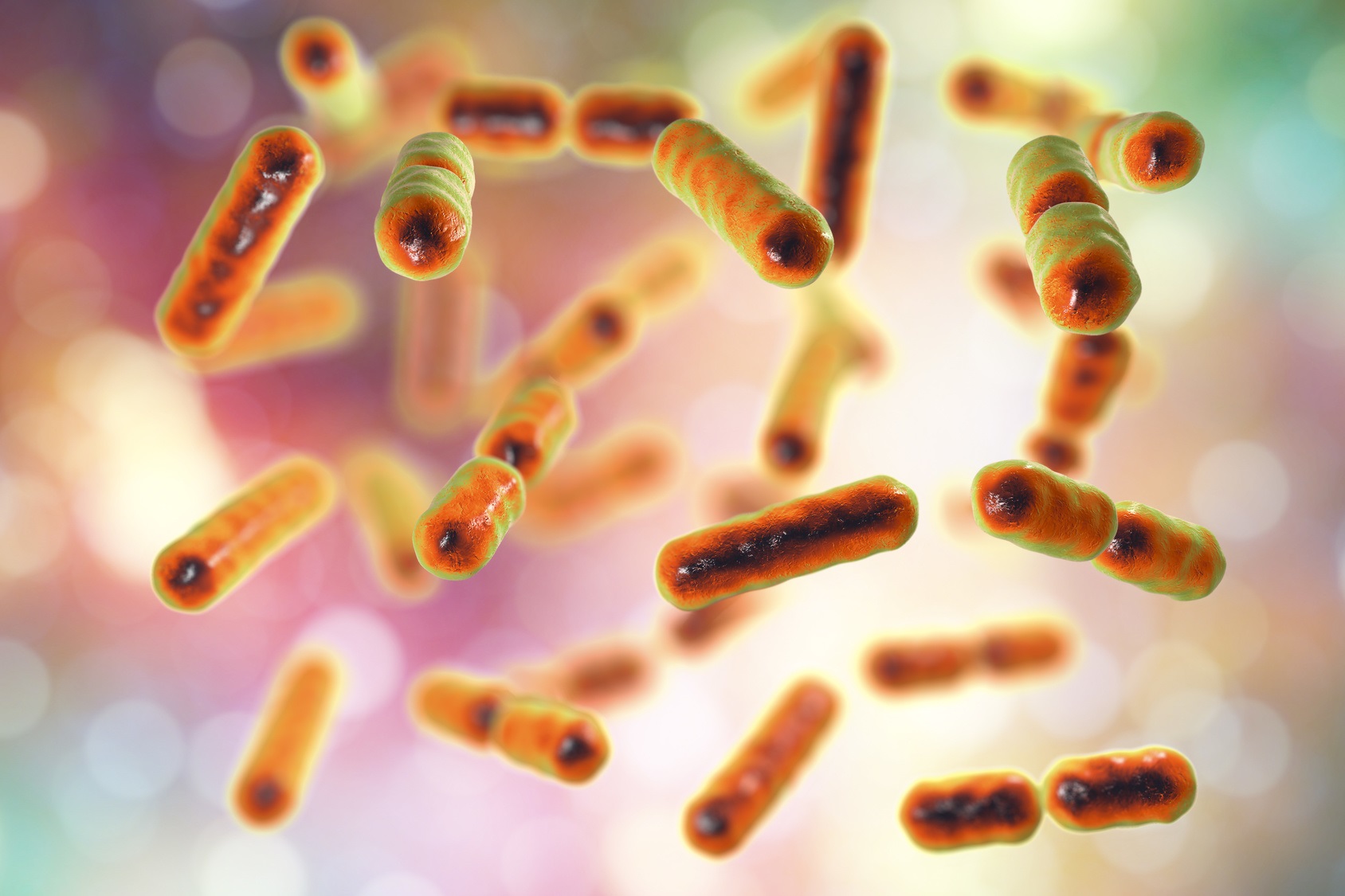 Des chercheurs de l’université d’État de l’Oregon (États-Unis) ont réalisé un progrès important dans la compréhension des rôles des bactéries intestinales dans la santé humaine. © Kateryna_Kon, Fotolia