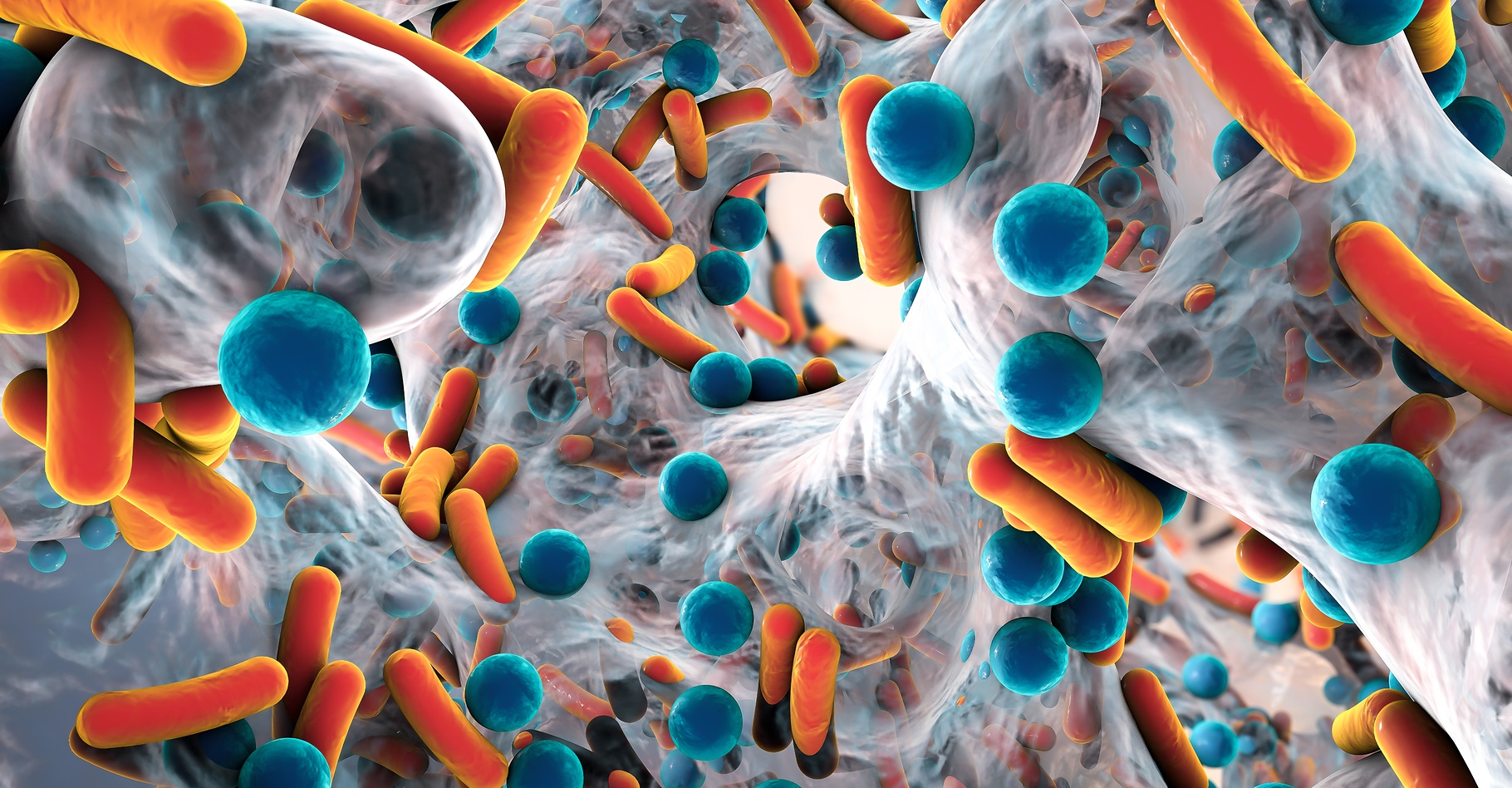Les bactéries « superbugs » qui résistent aux traitements antibiotiques, représentent un enjeu de santé publique. © Kateryna Kon, Shutterstock