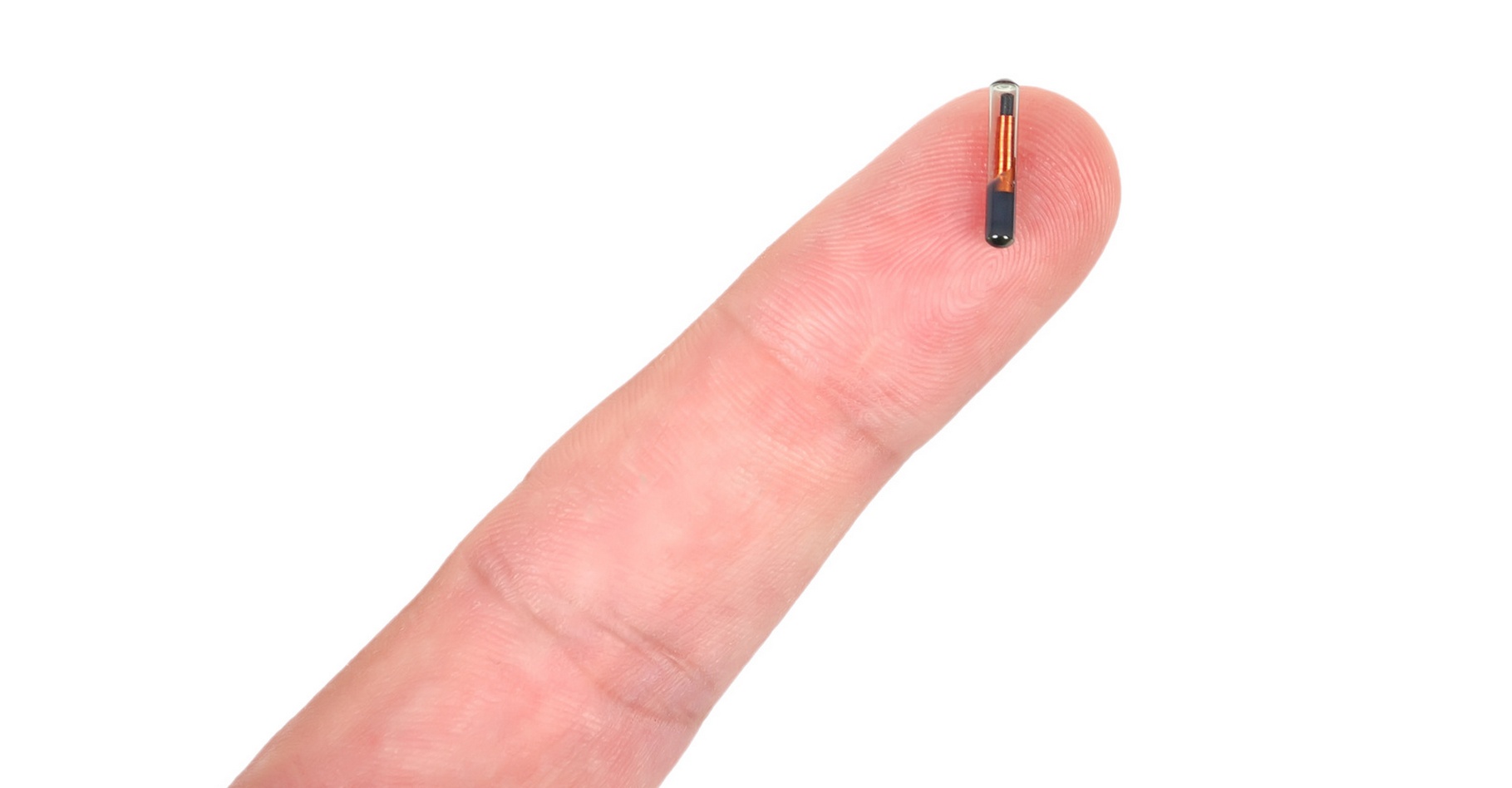 En Belgique, certains salariés d’une entreprise ont accepté de se faire implanter une puce RFID dans la main afin de pouvoir s’en servir comme badge d’identification pour entrer dans les locaux et déverrouiller leur ordinateur. © Vetkit, Fotolia