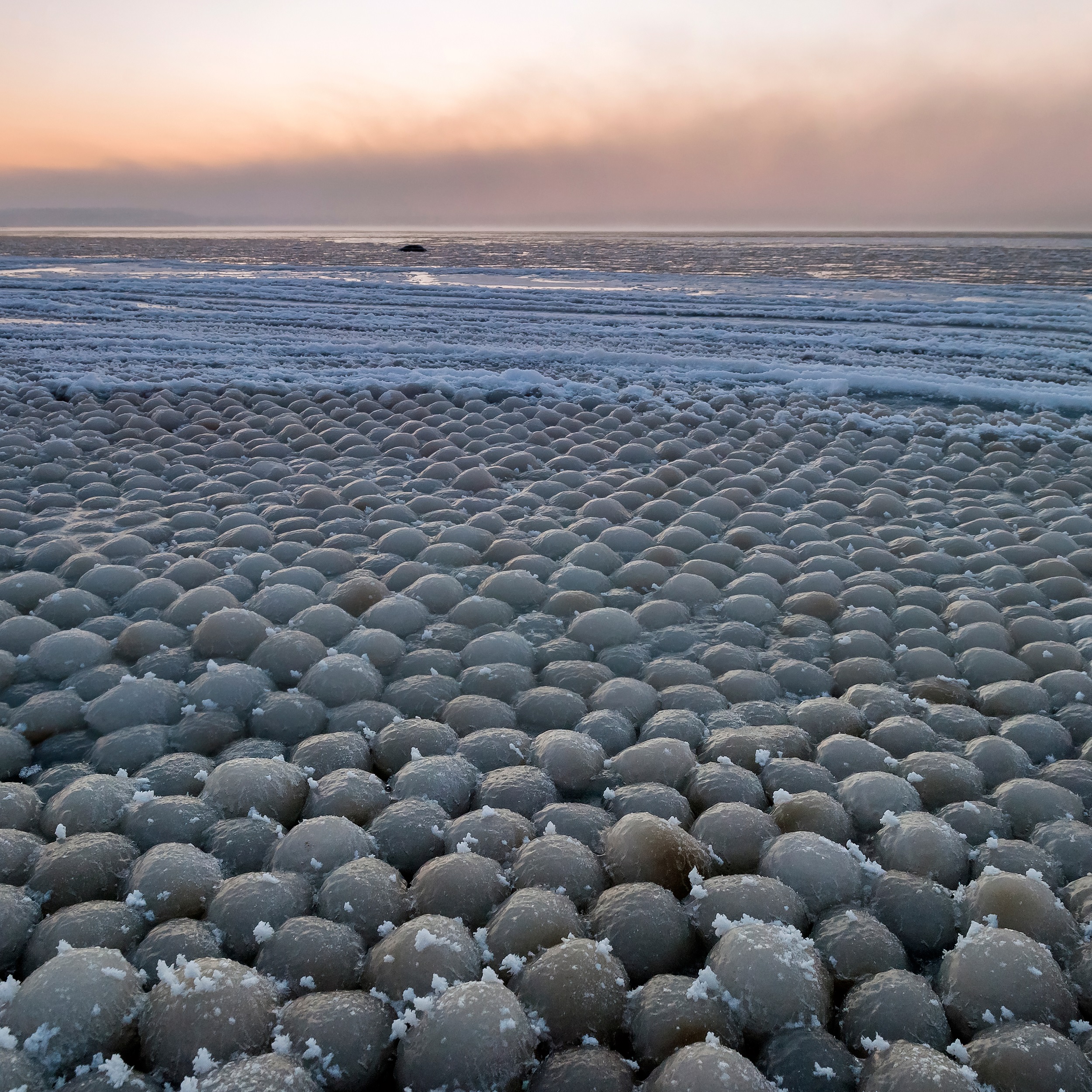 Des boules de glace d'une dizaine de centimètres observées en Estonie en 2014. © Aleksandr Abrosimov, Wikimedia Media, CC by-sa 4.0