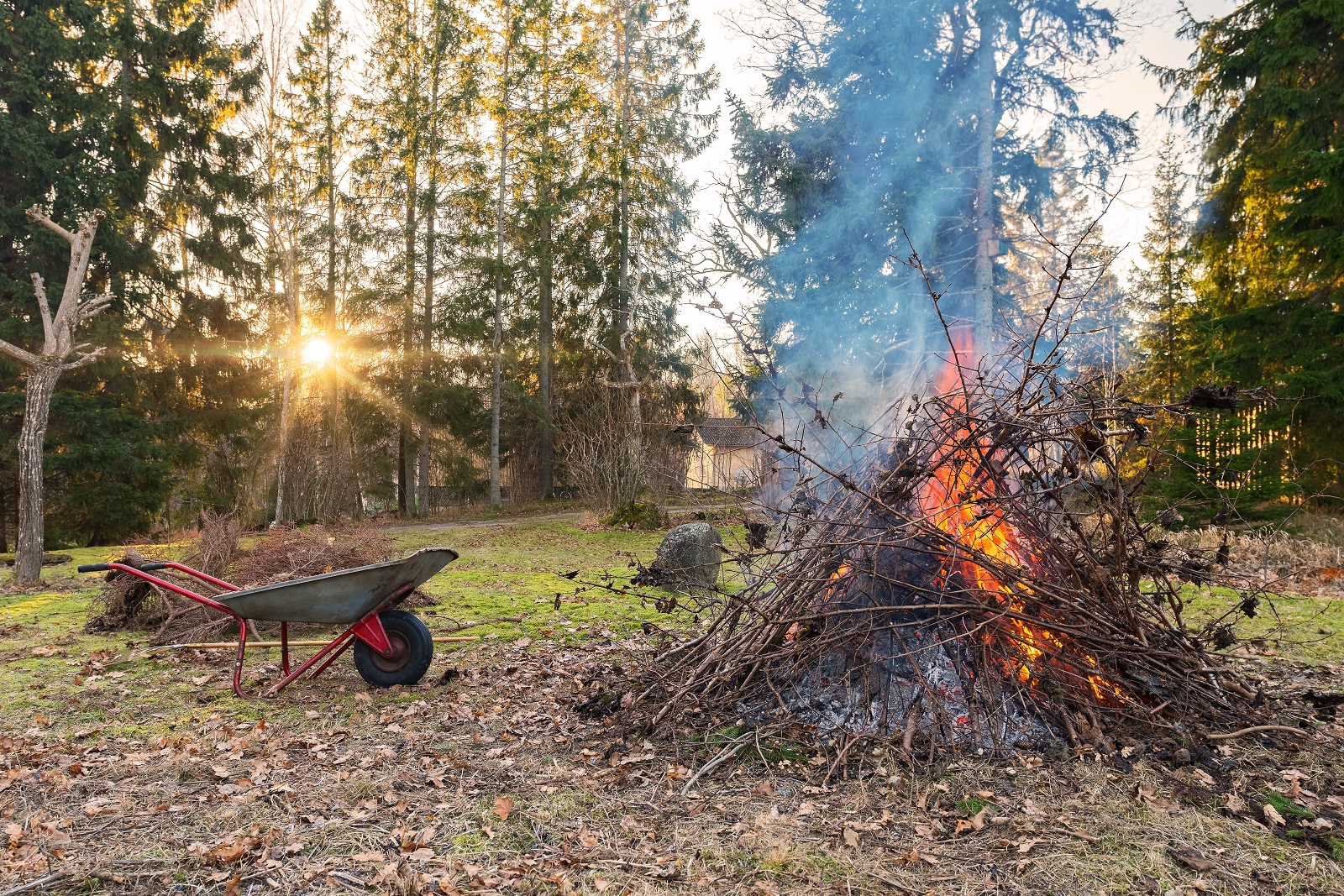 Interdiction de brûler les déchets verts ramassés au jardin.&nbsp;© stefanholm, Adobe Stock