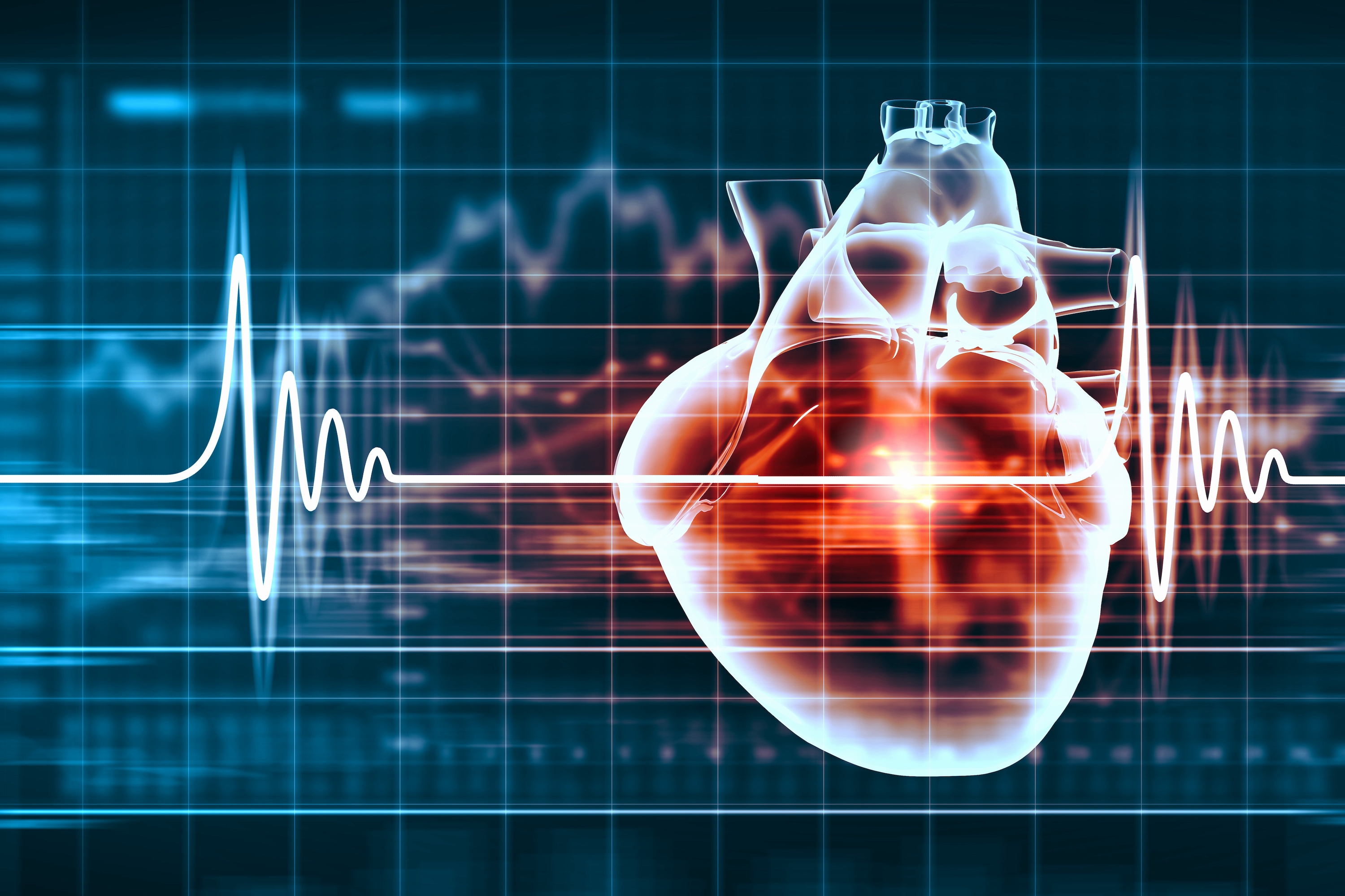 Nouvel organe touché par les microplastiques : le cœur. © Sergey Nivens, Adobe Stock