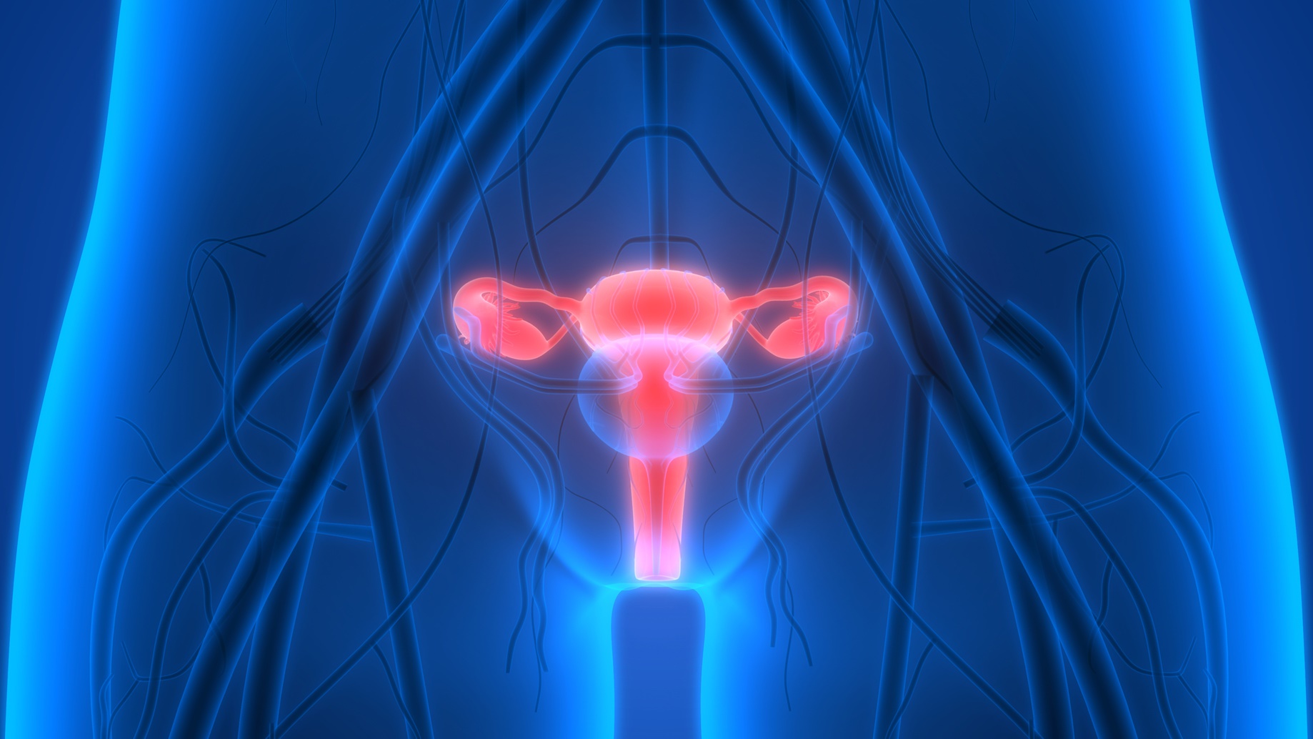 Le syndrome des ovaires polykystiques touche une femme sur dix.&nbsp;© magicmine, Fotolia