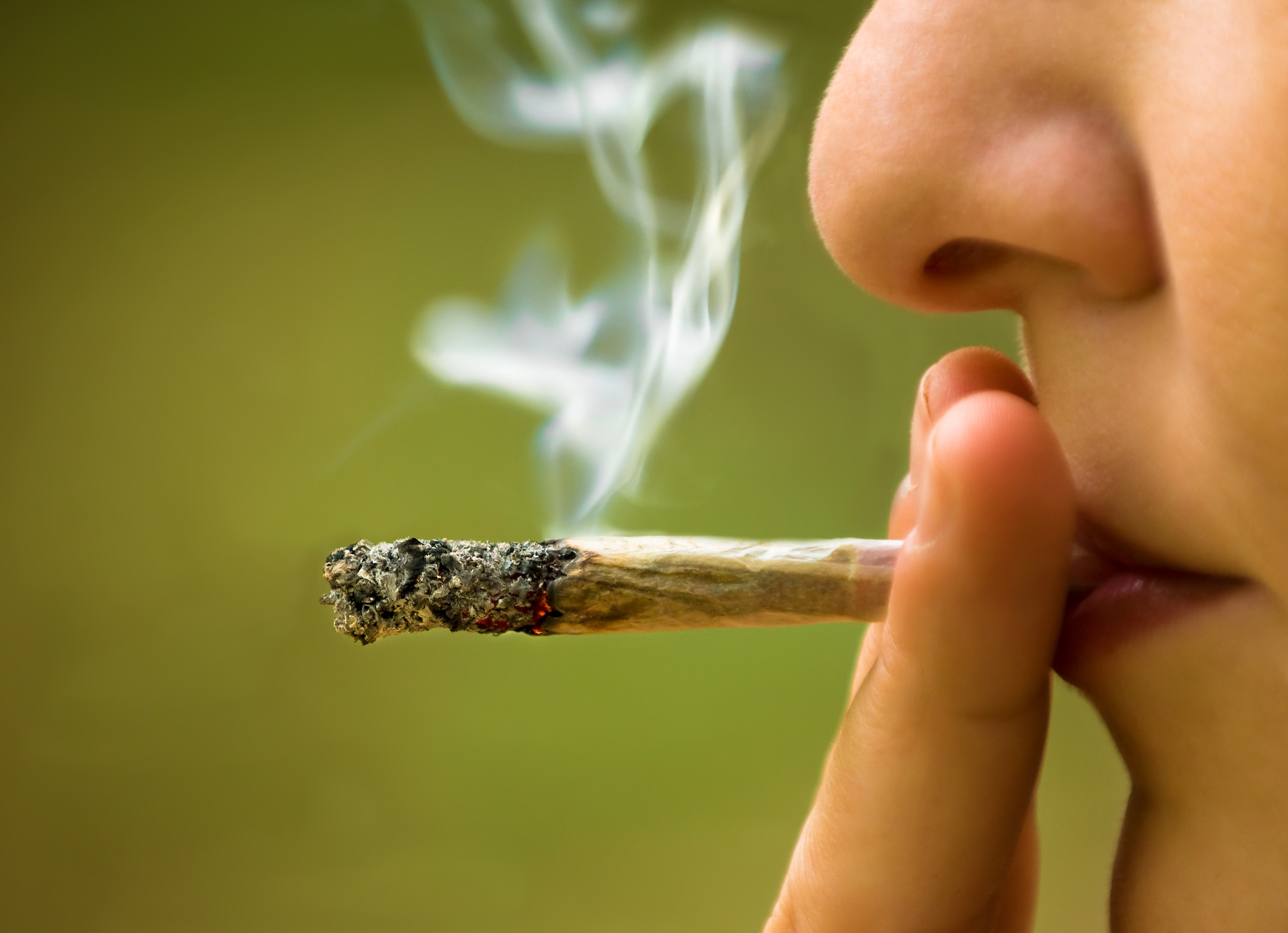 Le cannabis aurait des effets directs sur le fonctionnement des vaisseaux sanguins. © ststoev, Adobe Stock