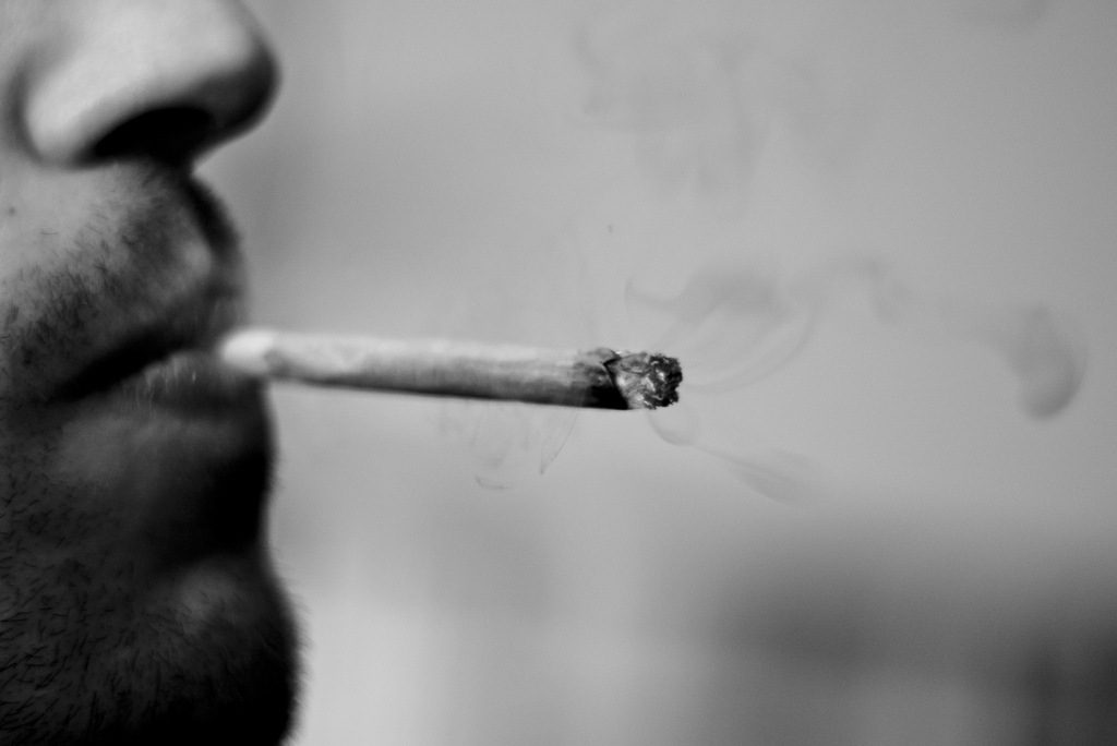Le cannabis est depuis longtemps consommé pour un usage récréatif, malgré son interdiction en France du fait des dangers qu'il entraîne sur la santé. Il peut en effet agir sur le cerveau et créer une dépendance via la libération de dopamine. © N.ico, Flickr, cc by 2.0