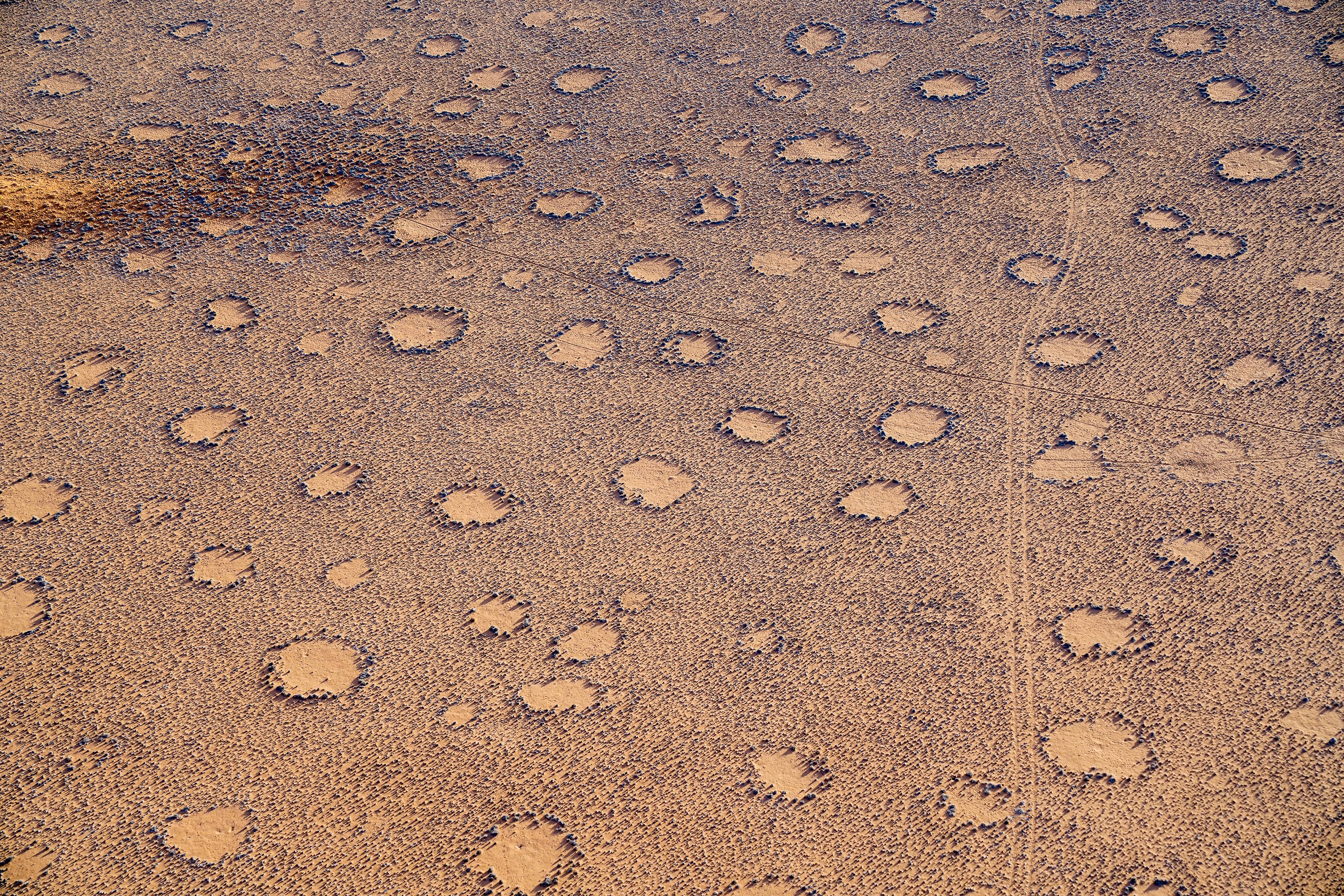 Des cercles de fées dans une plaine en Namibie. © Brian Scantlebury, Adobe Stock