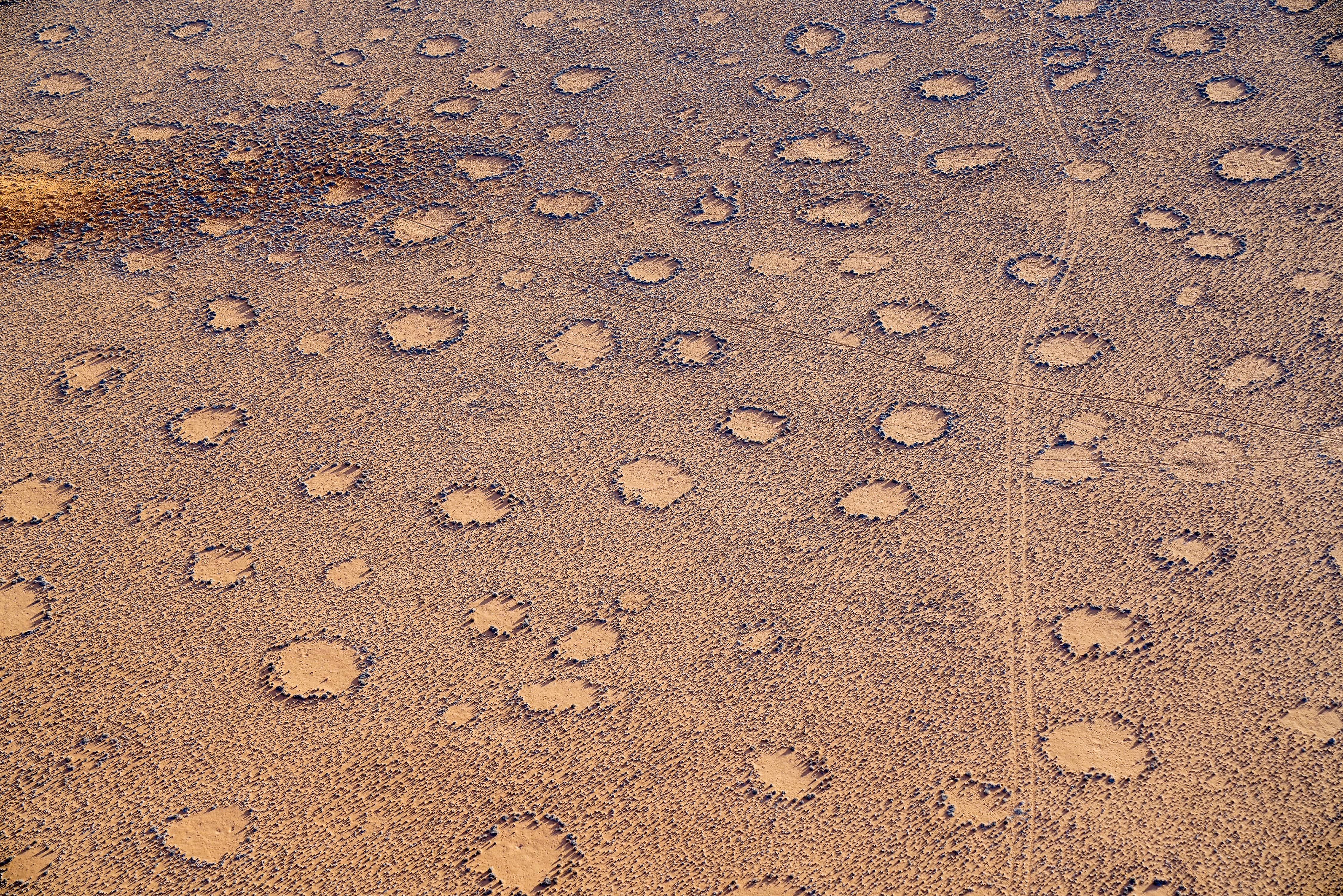 Des cercles de fées dans une plaine en Namibie. © Brian Scantlebury, Adobe Stock