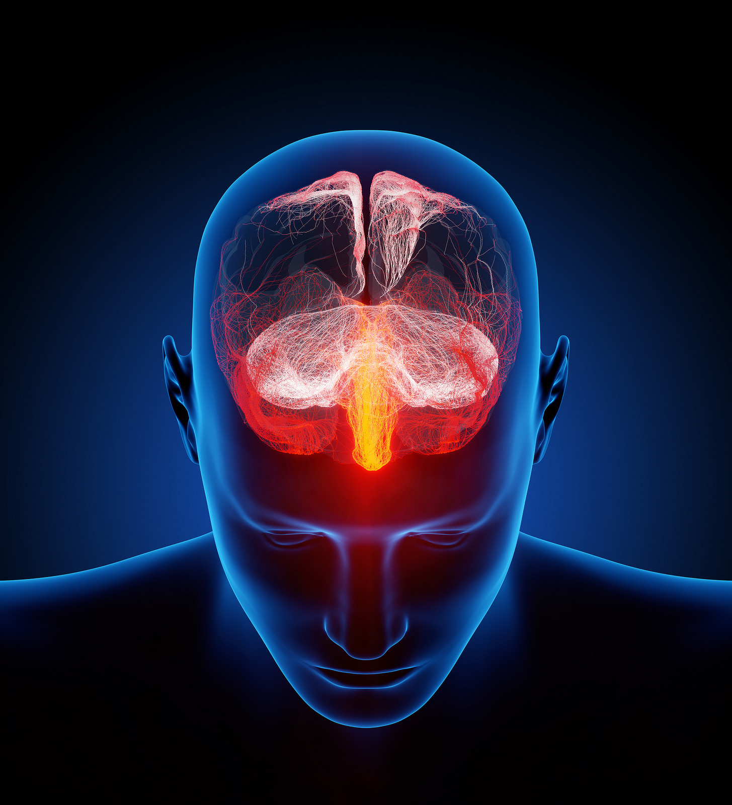 Les maladies neurologiques peuvent toucher le système nerveux central (encéphale et moelle épinière). © Ars Electronica, Flickr, CC by-nc-nd 2.0