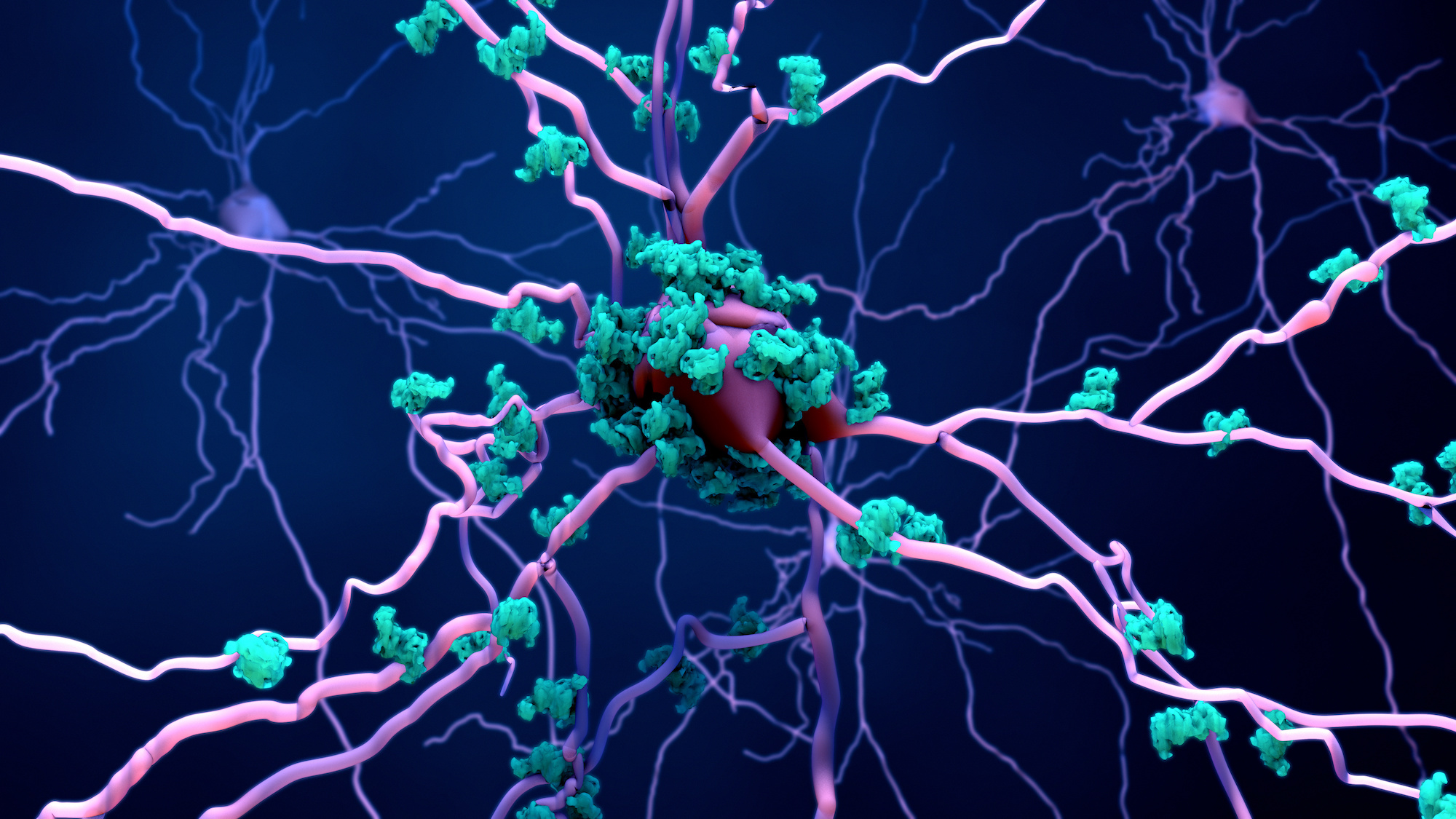 Un nouveau médicament testé sur des mouches drosophiles pourrait cibler directement la protéine Tau et réduire la dégénérescence neuronale. © Design Cells, Adobe Stock