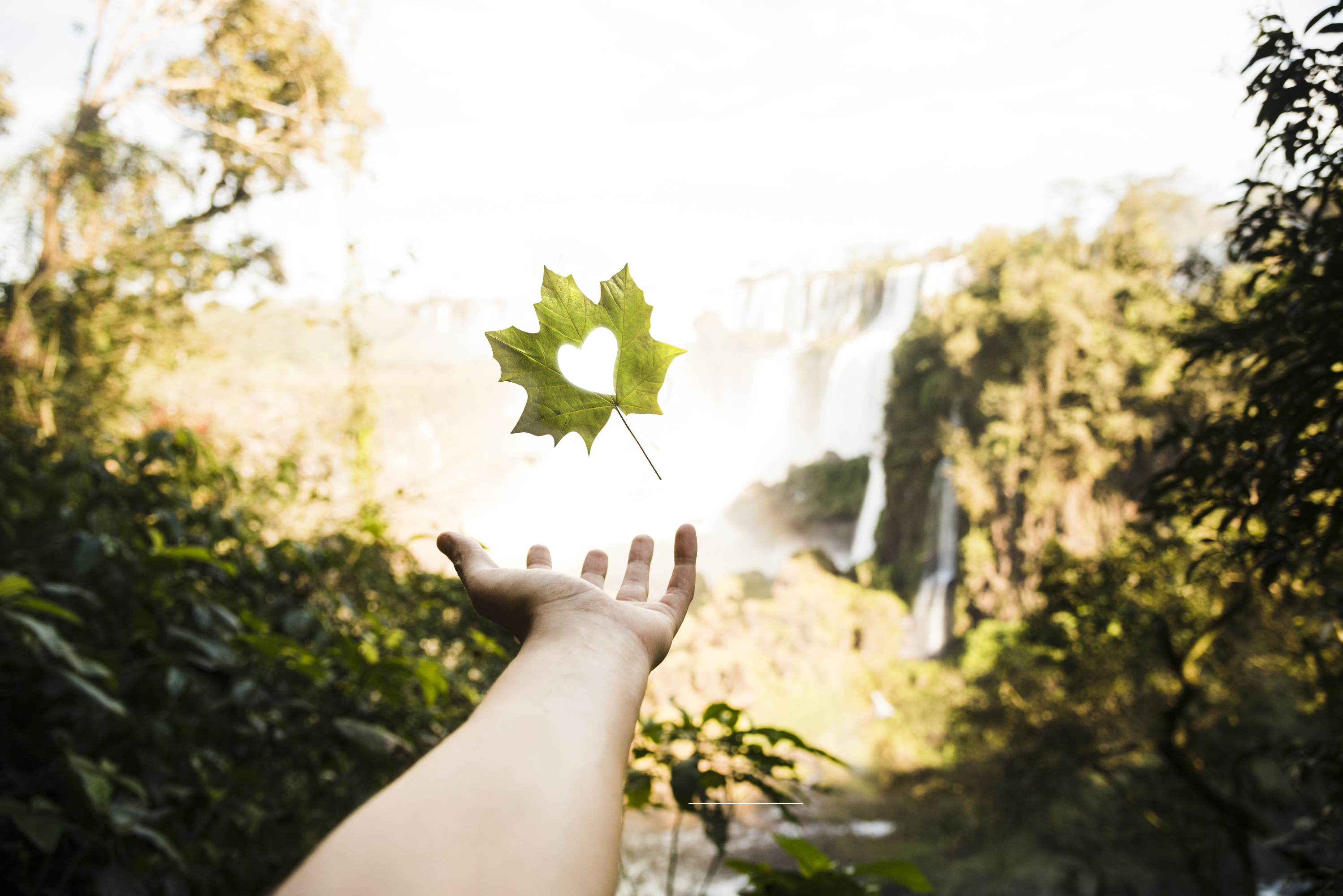 Ma Petite Planète est un challenge par équipe de défis écologiques de trois semaines. © Freepik