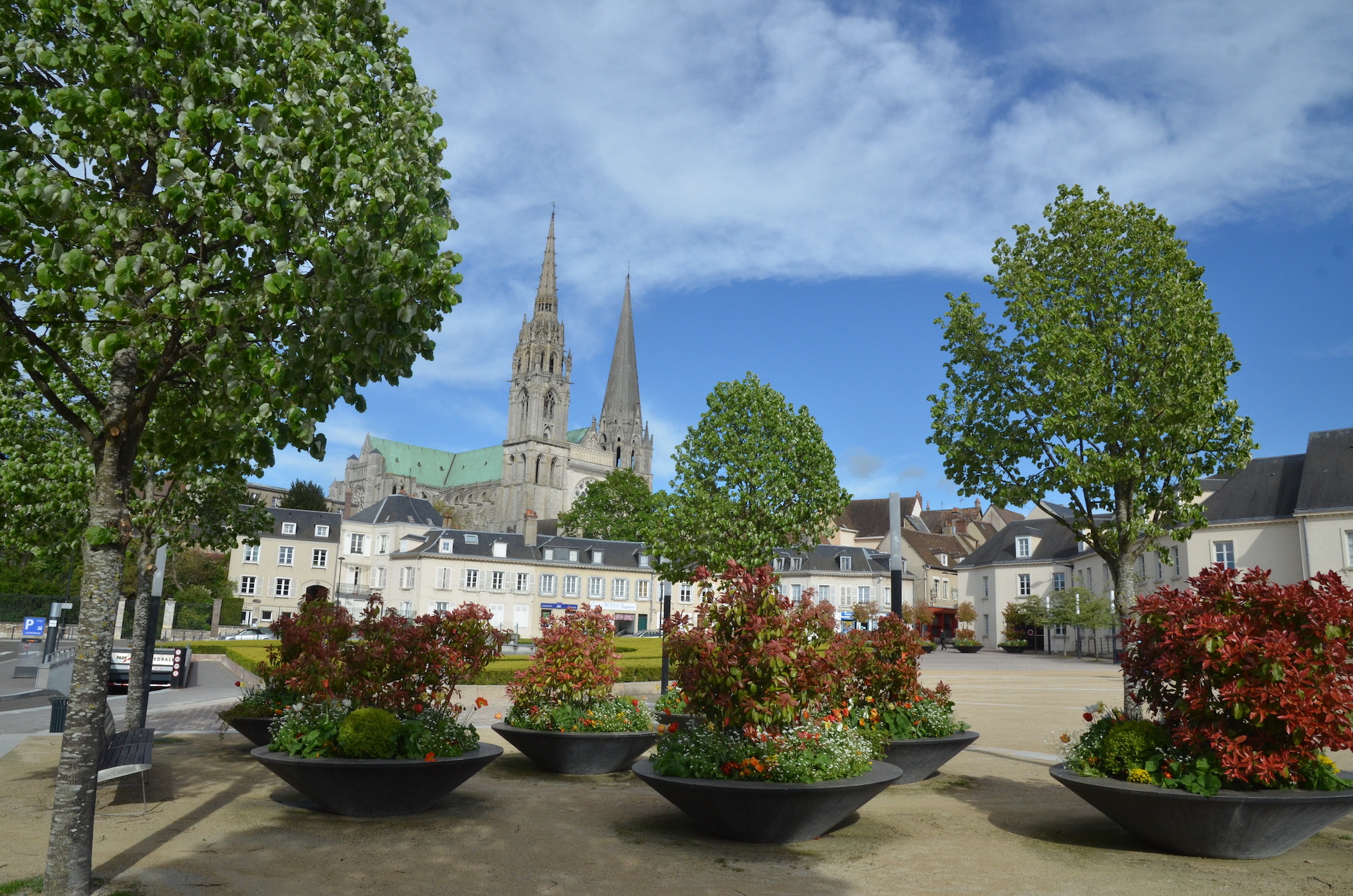 La cathédrale a perdu ses arbres au profit de nouveaux arbres... métalliques ! © compagnie-17, Adobe Stock